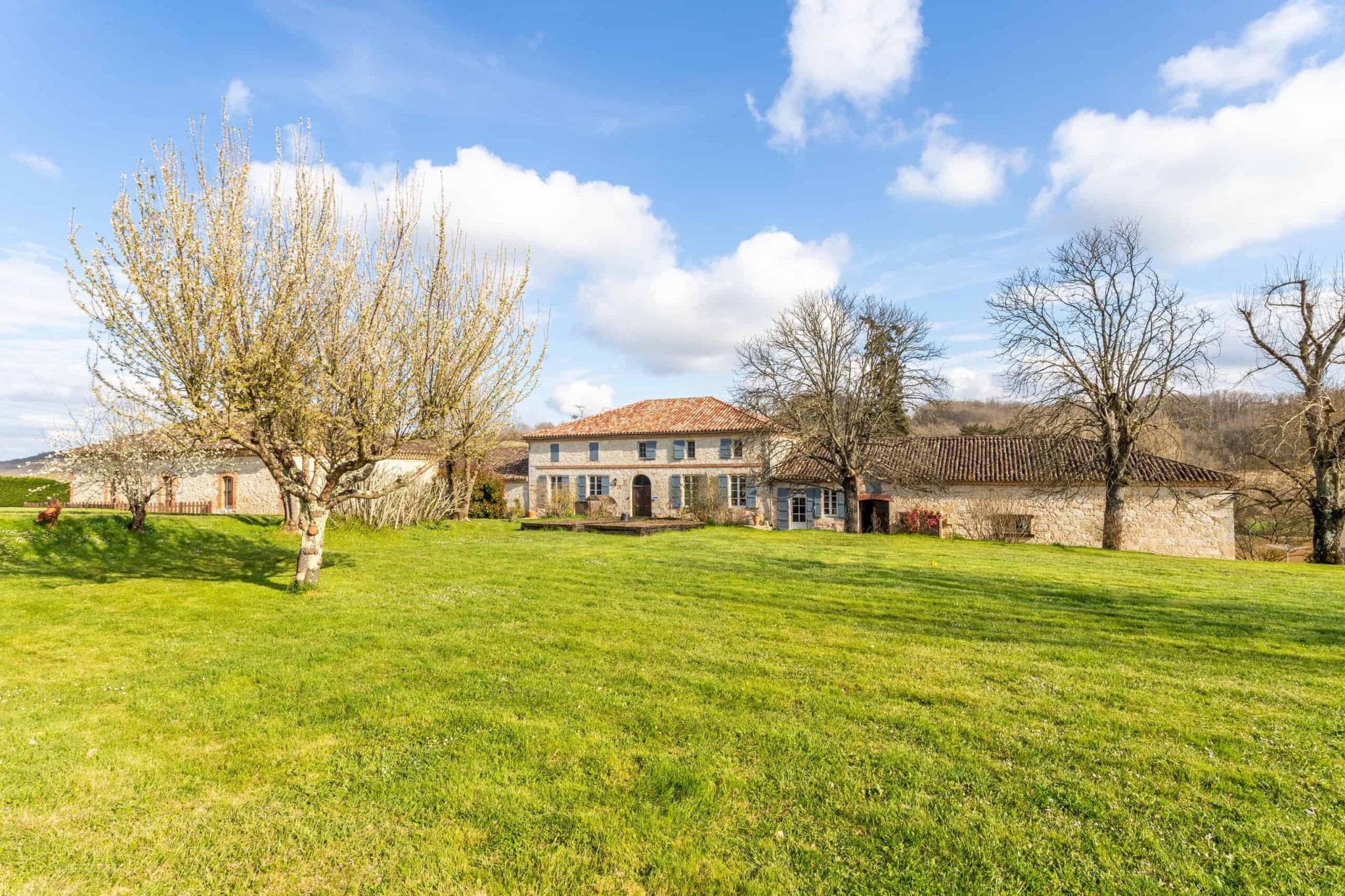 Country estate with equestrian facilities and lake — photo 6