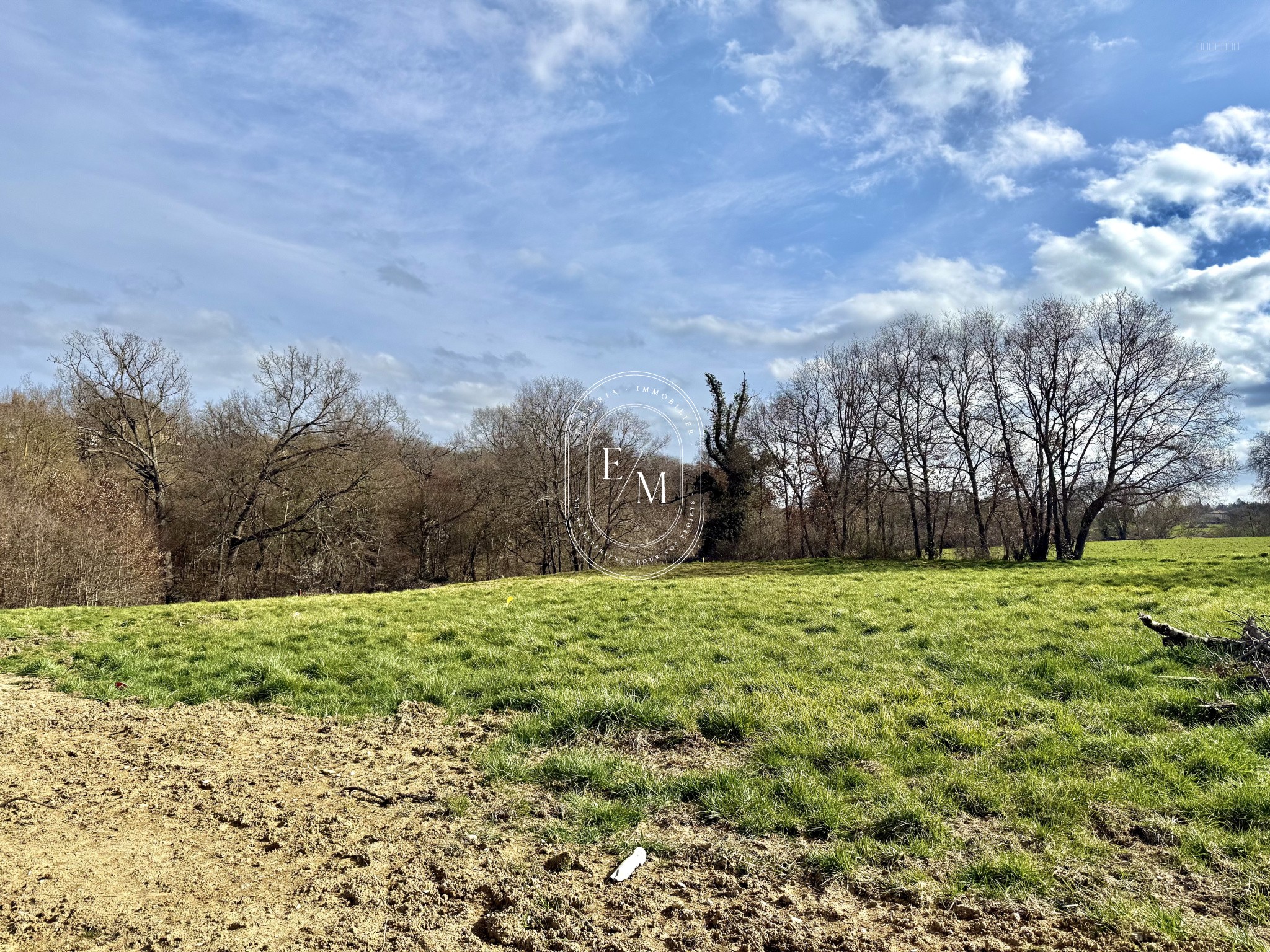 En face de la forêt — photo 5