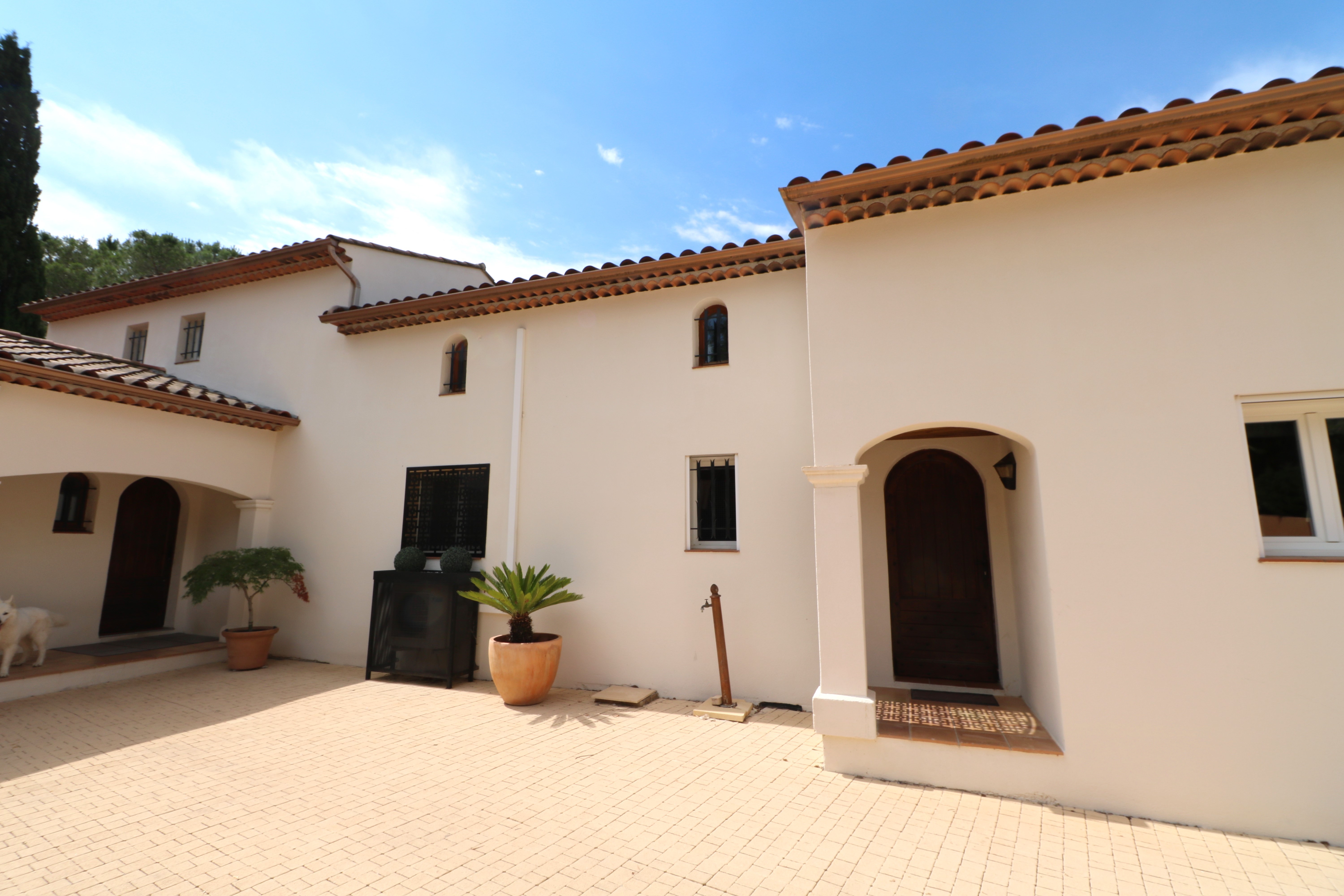 Villa hacienda 260m2 avec piscine et dépendances — photo 3