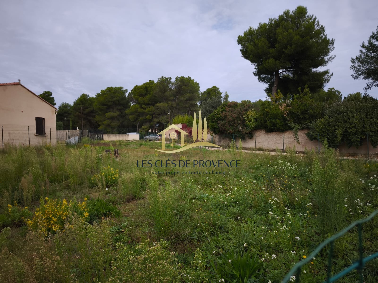 TERRAIN — photo 4