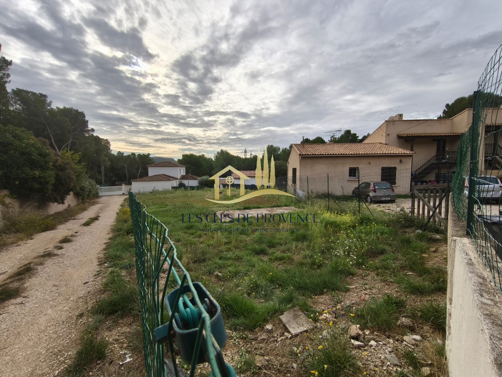 TERRAIN — photo 2
