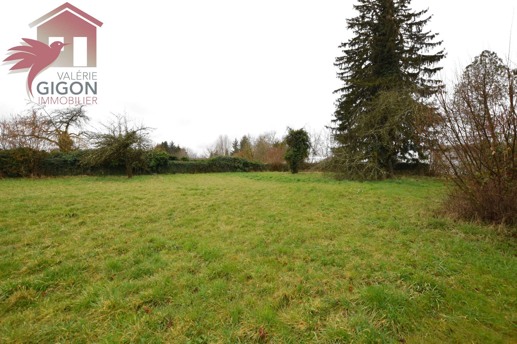MAGNIFIQUE TERRAIN A BATIR de 31,67 ares.. — photo 3