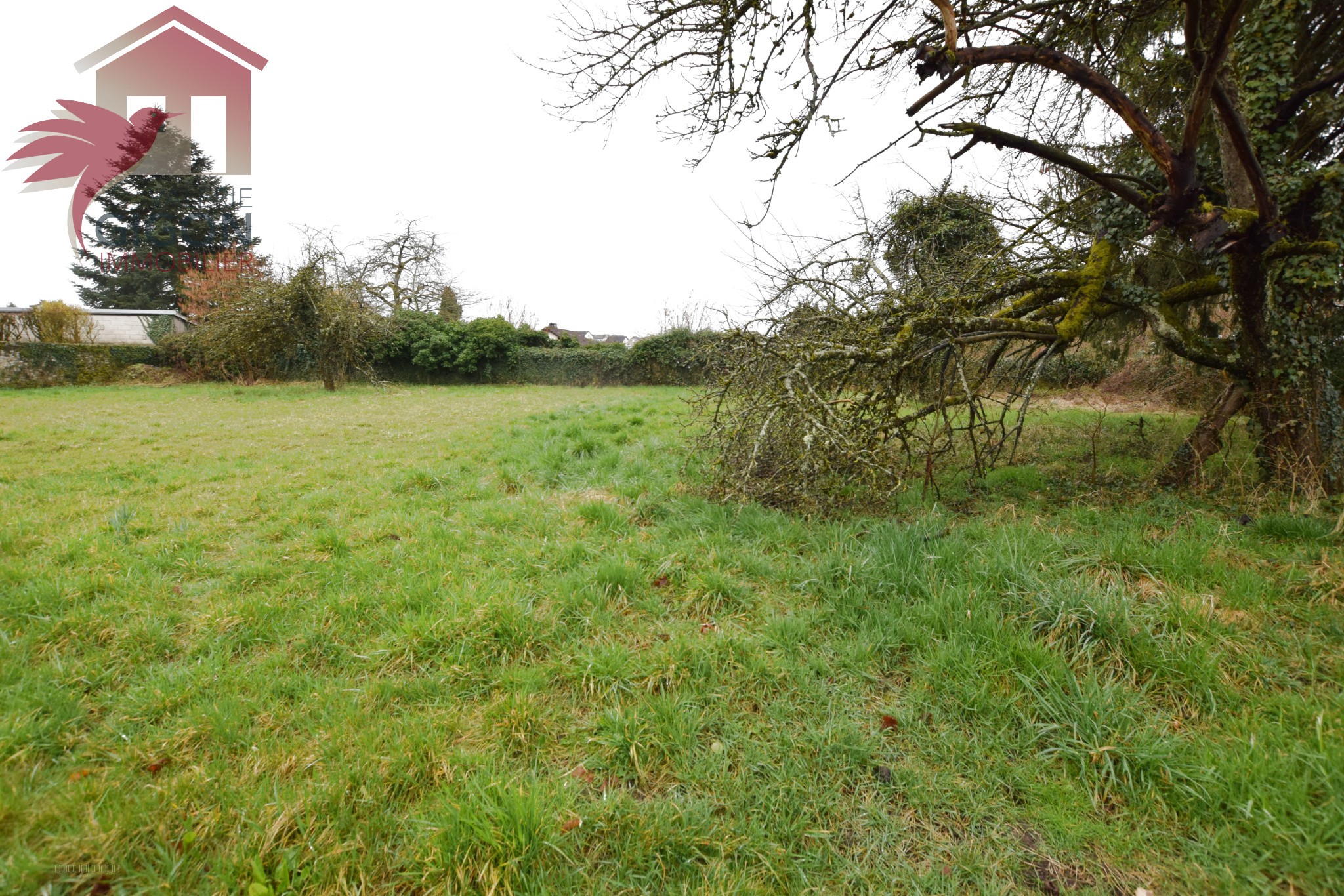 MAGNIFIQUE TERRAIN A BATIR de 31,67 ares.. — photo 2