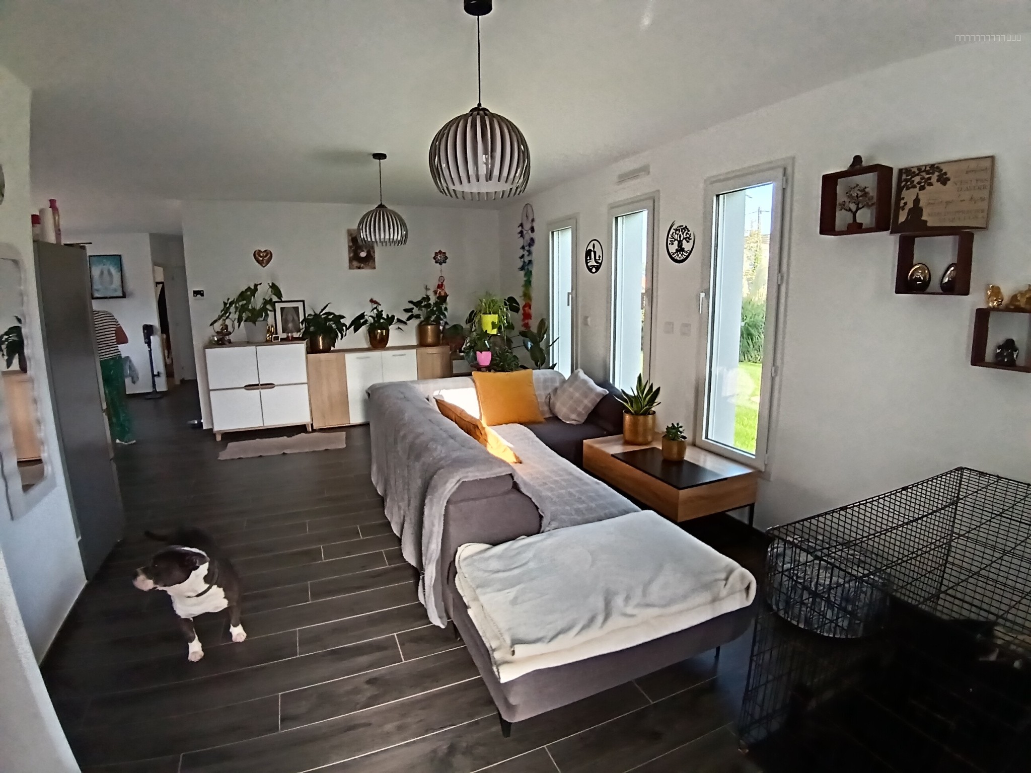Pavillon contemporain — photo 3