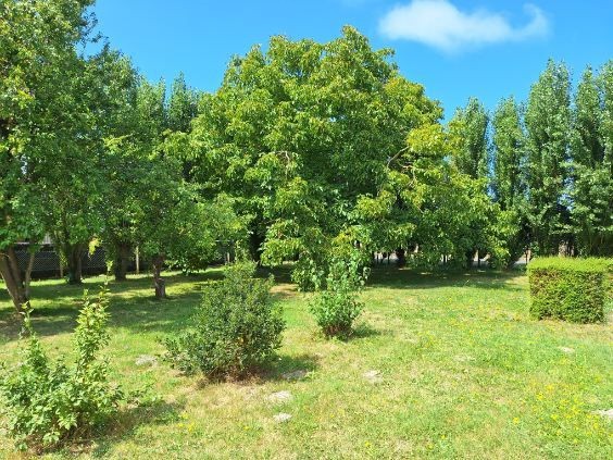 Beau Pavillon La Molliere — photo 2