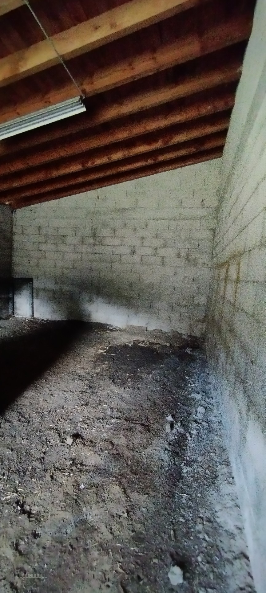 Maison pierres avec sous-sol complet sur 1 ha — photo 20