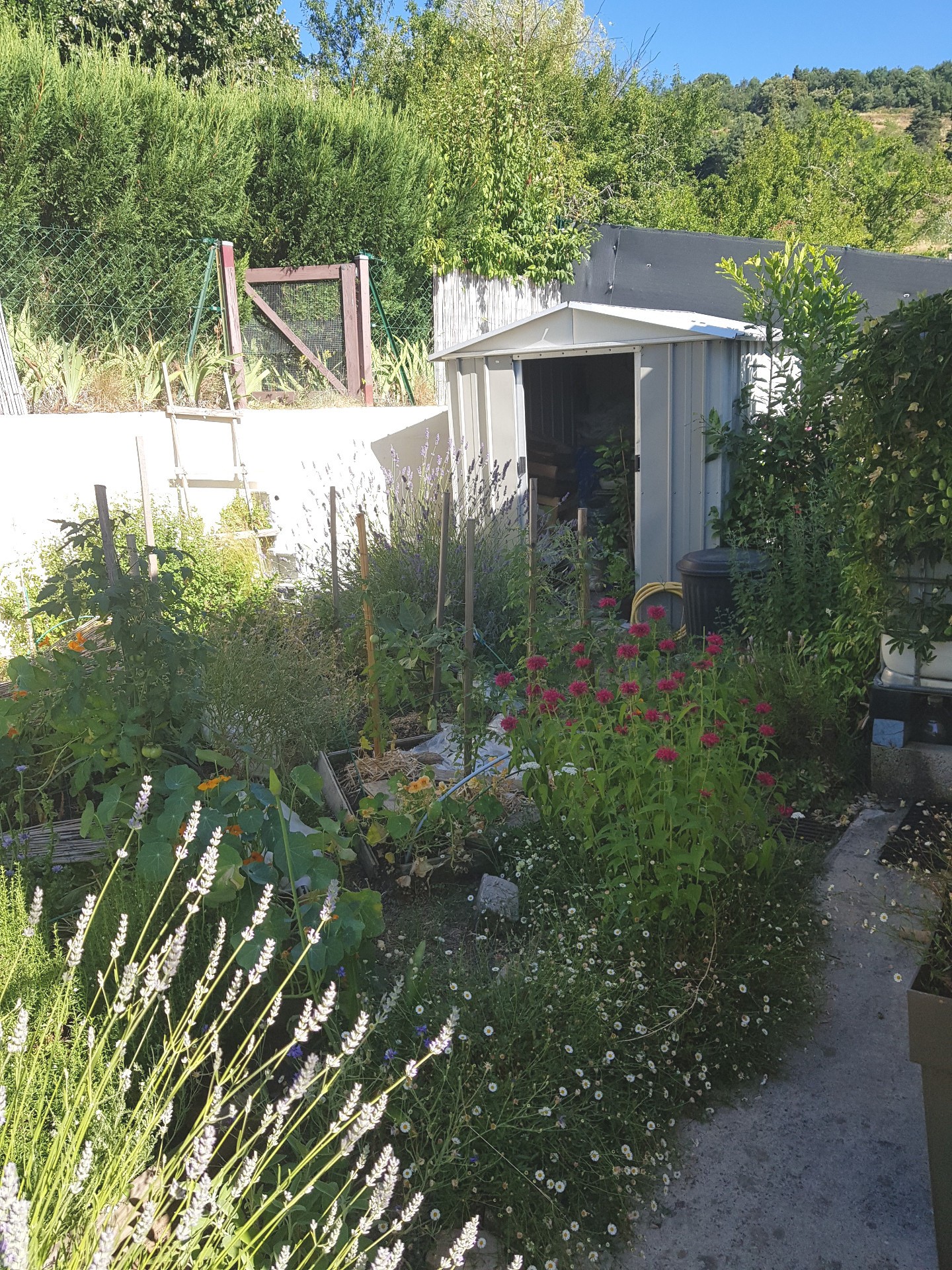 Maison - 07270 EMPURANY — photo 9