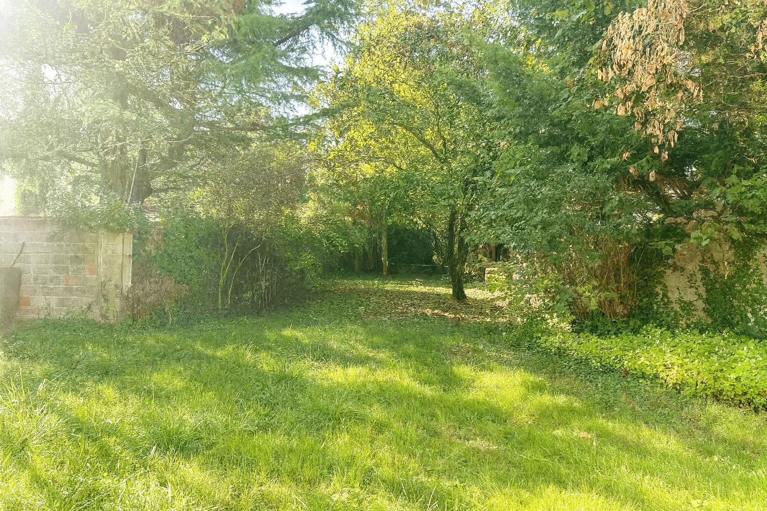 Maison de charme 5 pièces   Le Perreux/Nogent — photo 2