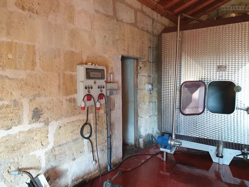 Propriété viticole en Bio à vendre Saint Emilion - Réf 1140 — photo 5