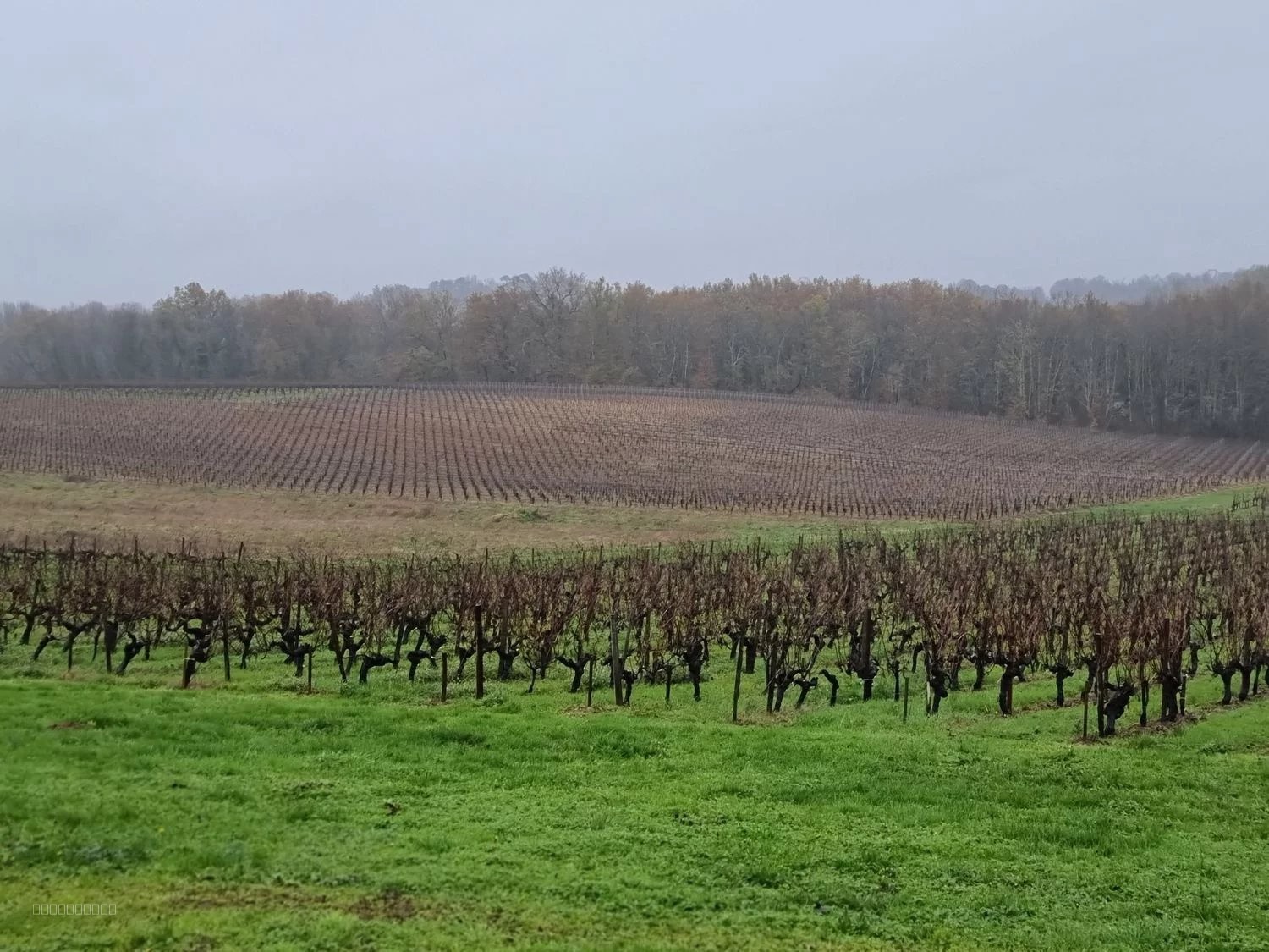 Château viticole du XIXème en appellation Côtes de Bourg - Réf 1166 — photo 8