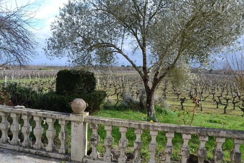 Château viticole en AOC Côtes de Bourg sur 16 hectares - Réf 1029 — photo 5