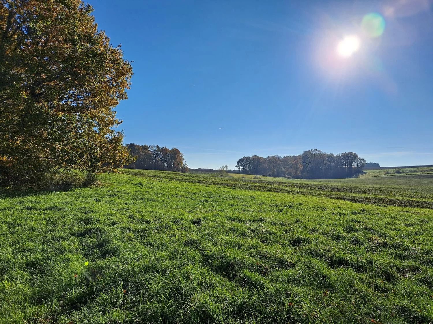 À Vendre : Charmante Propriété à rénover dans l'Entre-Deux-Mers - Réf 97 — photo 15