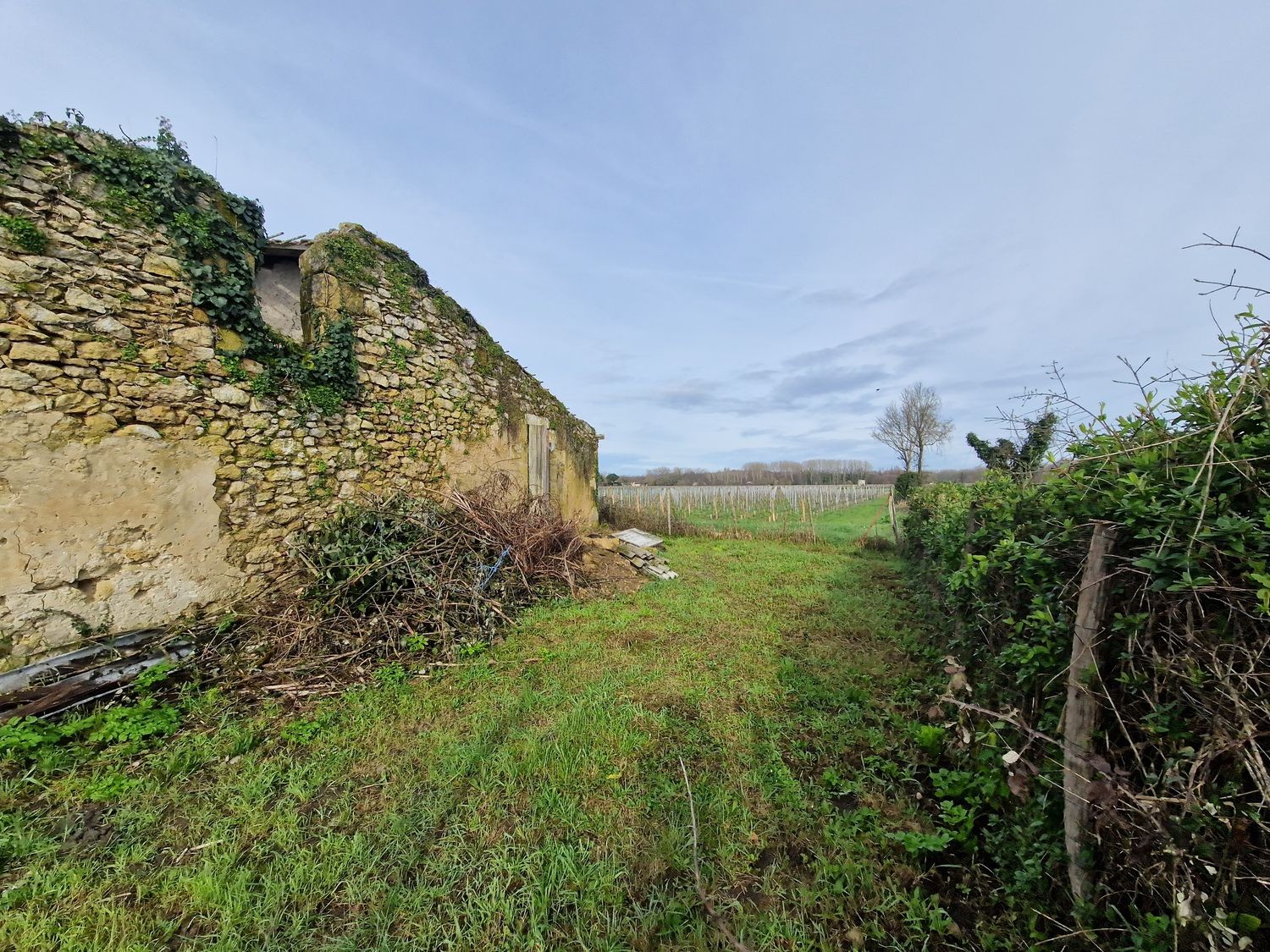 BARSAC - MAISON AVEC JARDIN À RÉNOVER - Réf 19 — photo 5