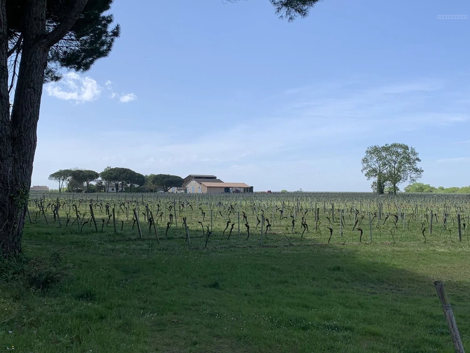 Outil de travail avec bâtiments sur 1 hectare — photo 7