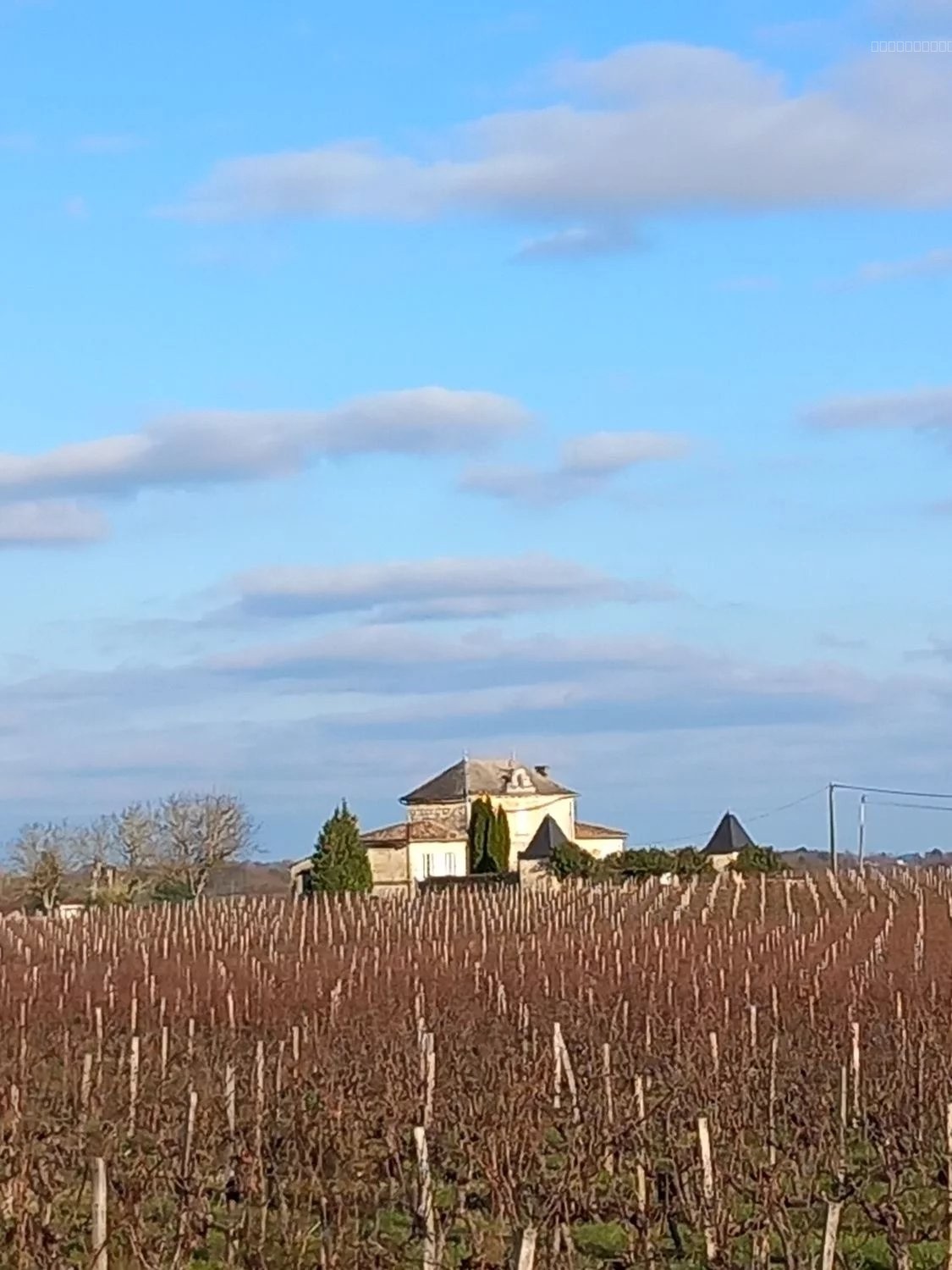 Château viticole du XIXème en appellation Côtes de Bourg - Réf 1166 — photo 7