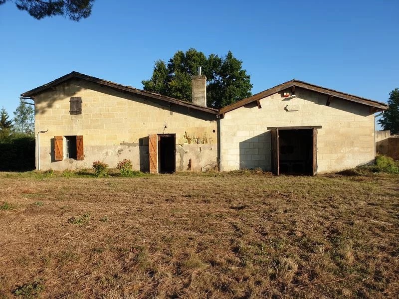 Propriété viticole en Bio à vendre Saint Emilion - Réf 1140 — photo 6