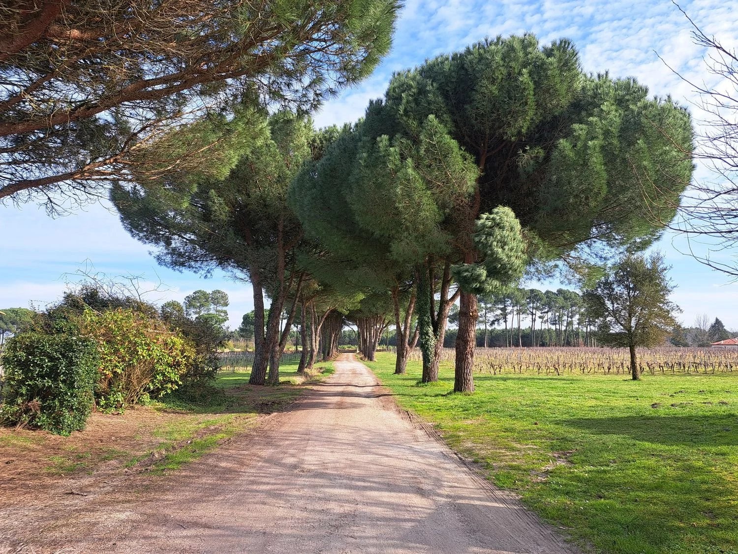 Outil de travail avec bâtiments sur 1 hectare — photo 2