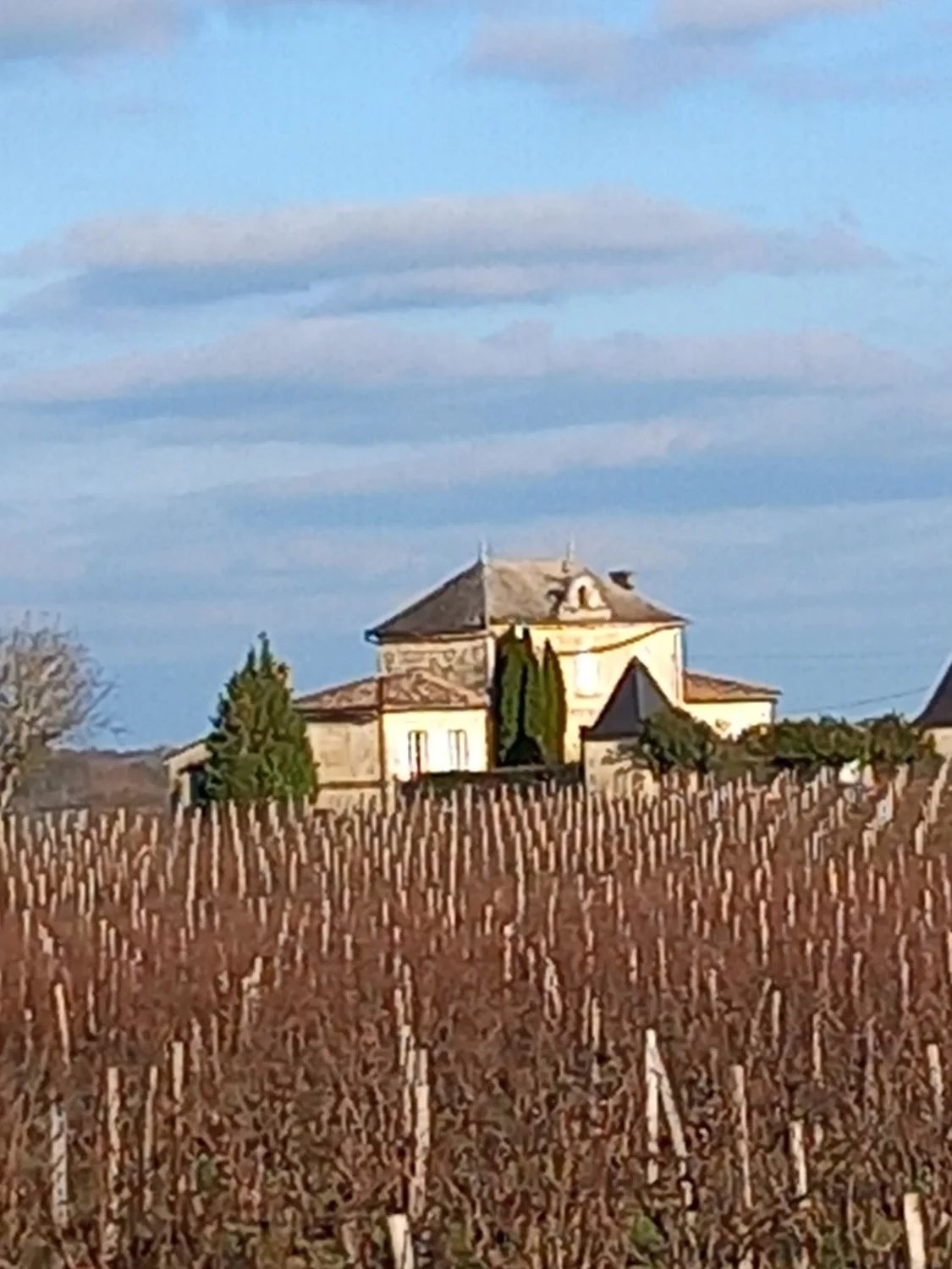 Château viticole du XIXème en appellation Côtes de Bourg - Réf 1166 — photo 2