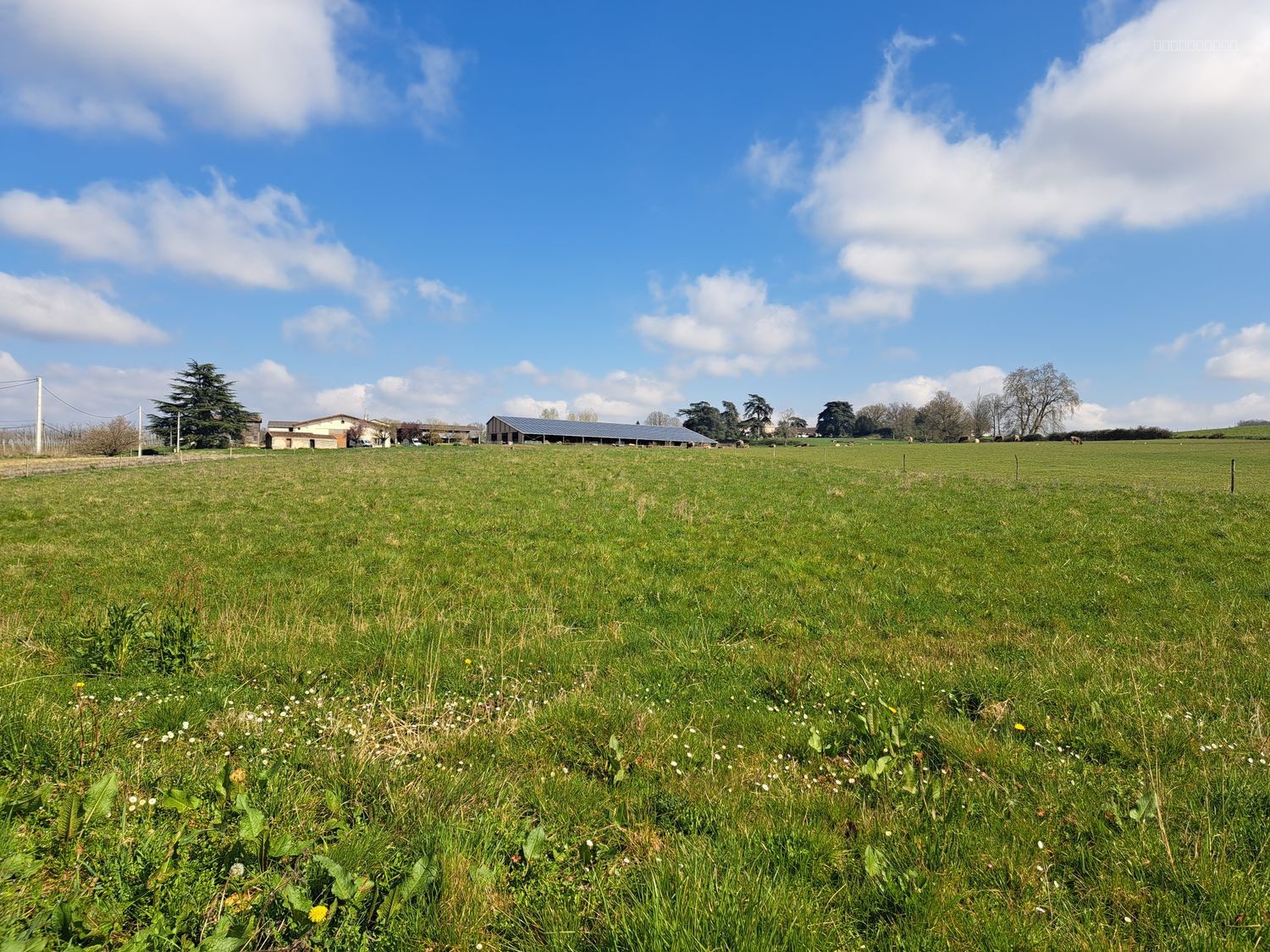 Ensemble immobilier sur 3000 m2 de terrain avec garages ! — photo 3