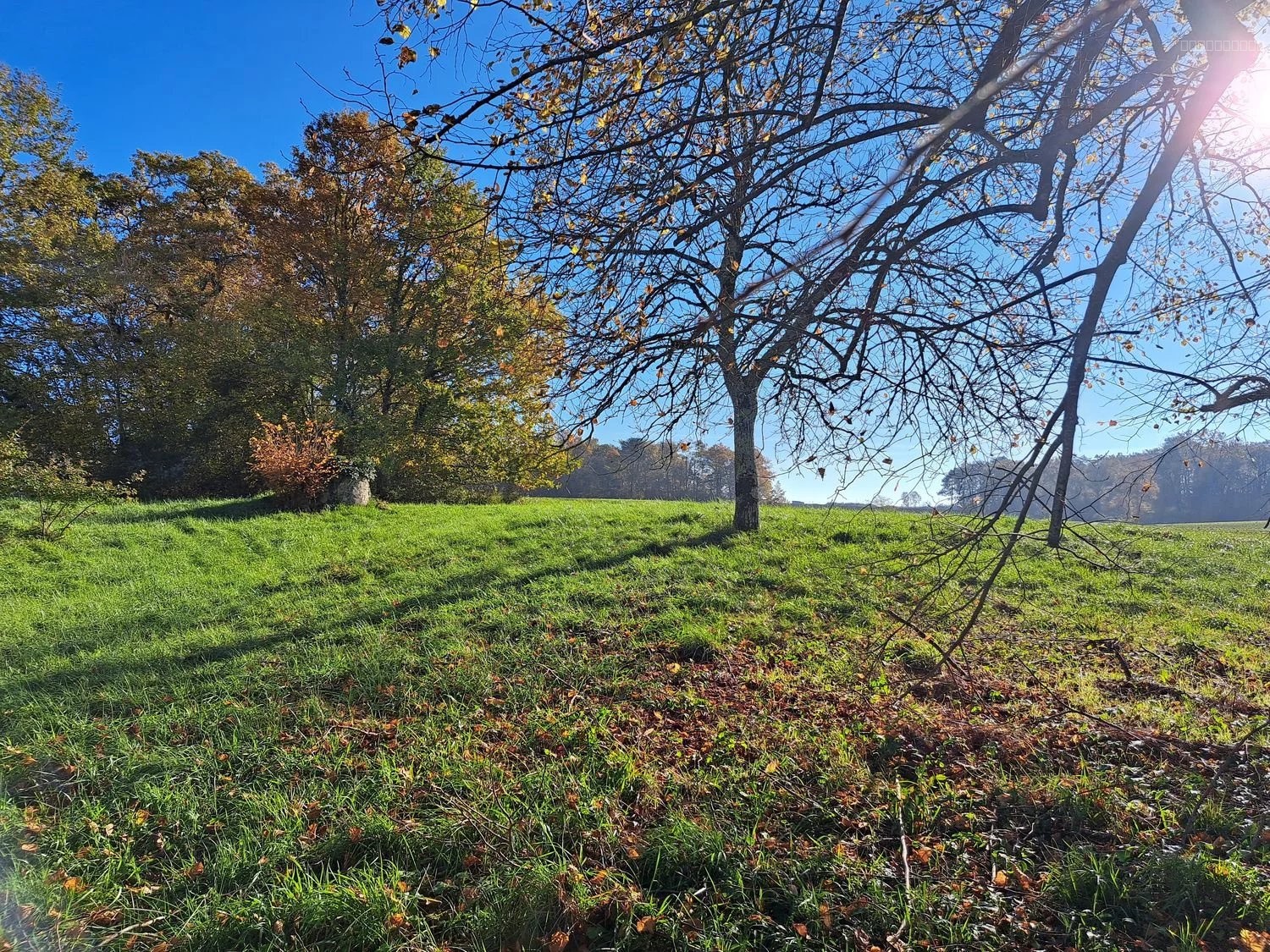 À Vendre : Charmante Propriété à rénover dans l'Entre-Deux-Mers - Réf 97 — photo 5