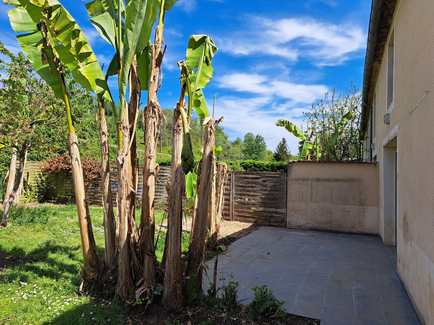 Ensemble immobilier idéalement situé sur l'axe Langon / La Réole — photo 4
