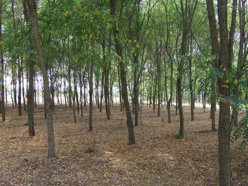 Propriété avec 3 gites sur 4.7 hectares - Réf 1124 — photo 7