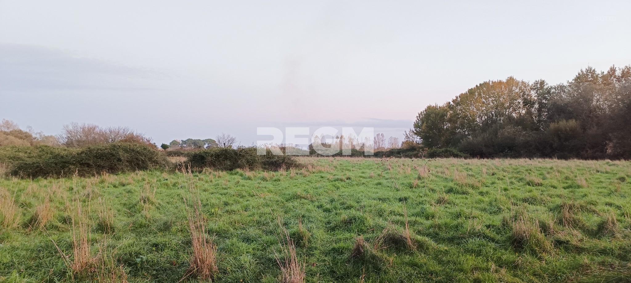 PRL sur terrain avec plans d'eau — photo 5