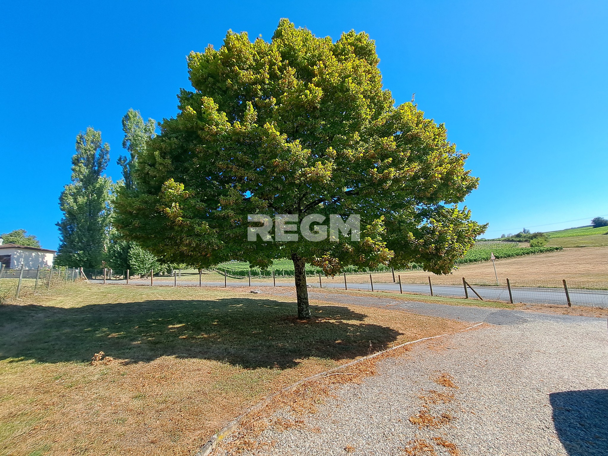 Singleyrac, maison pierre 3 ch voire plus — photo 16