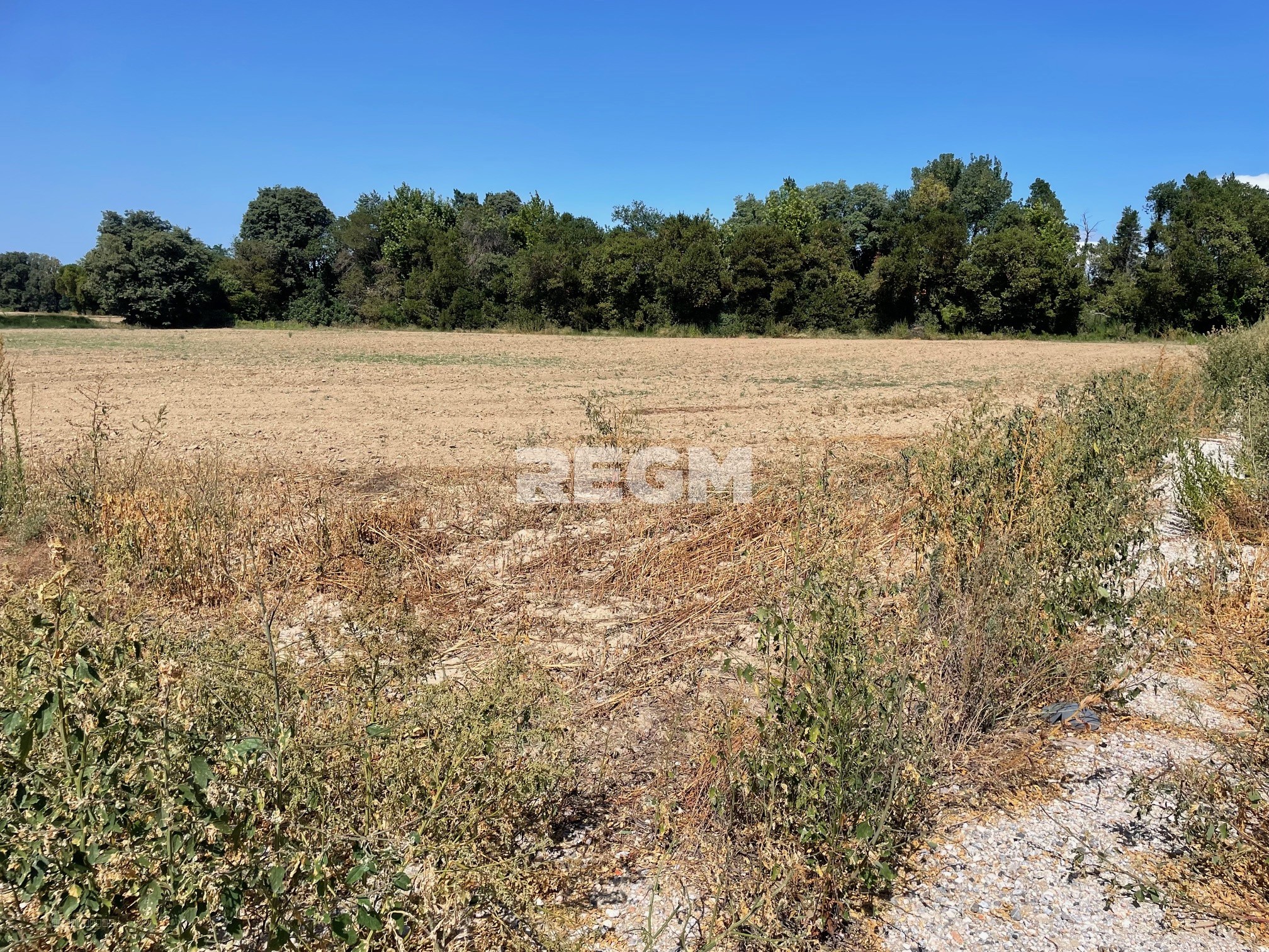 Mas ancien à rénover de caractère en vente à Saint-Estève 66240 — photo 4