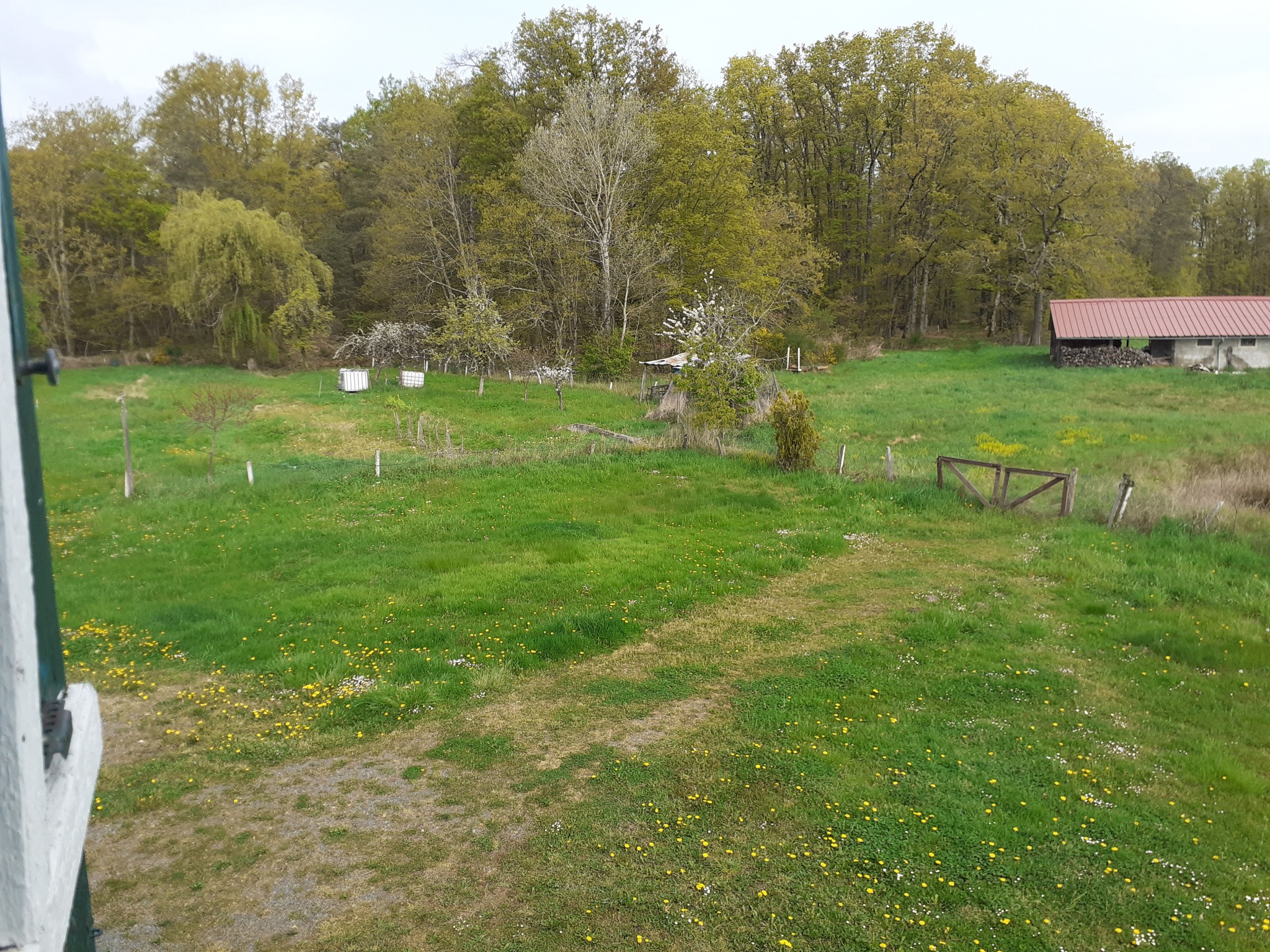 Propriété de caractère à 8 Km de Vichy — photo 9