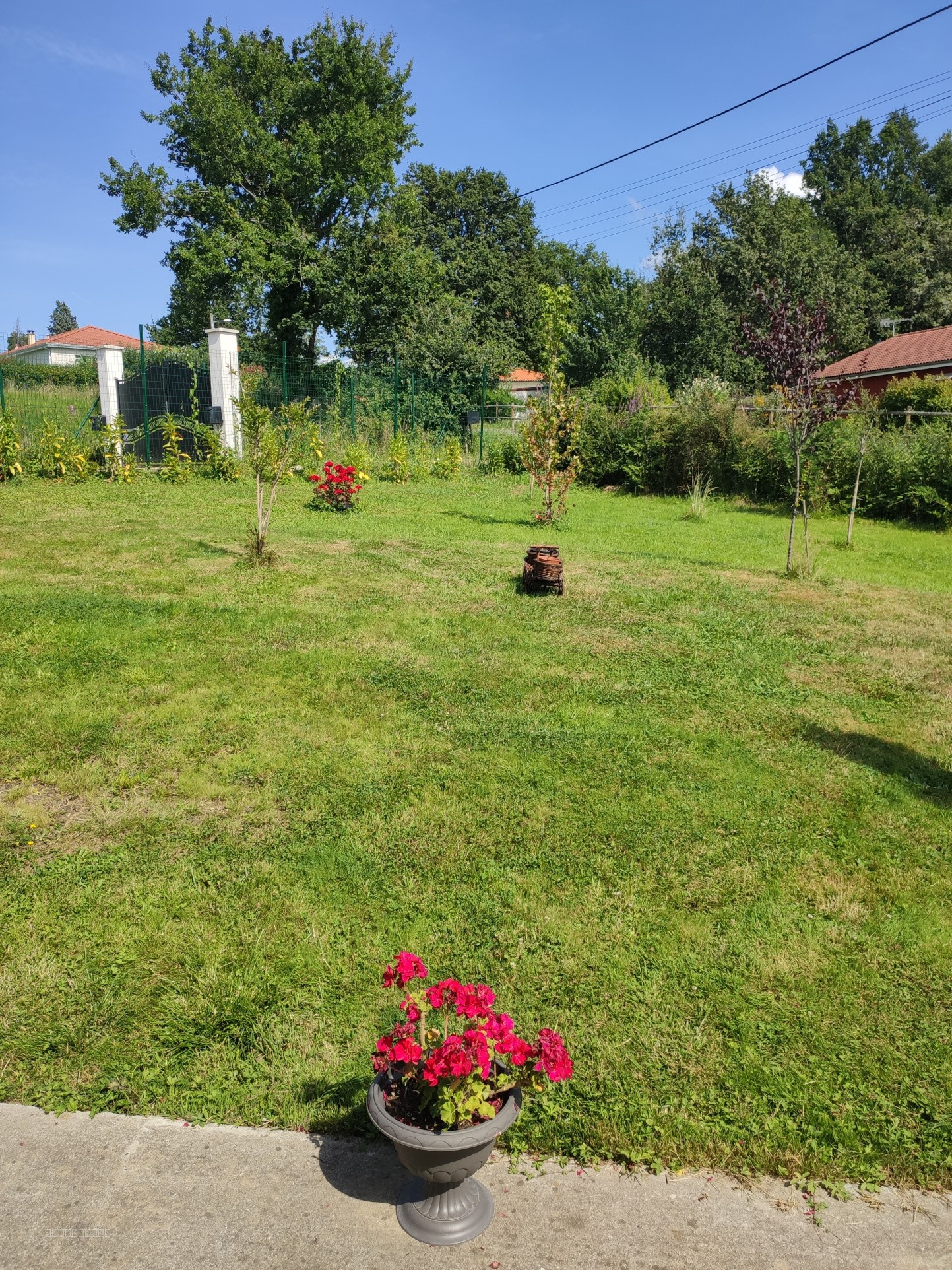 Propriété en campagne à 25 mn de Vichy — photo 6