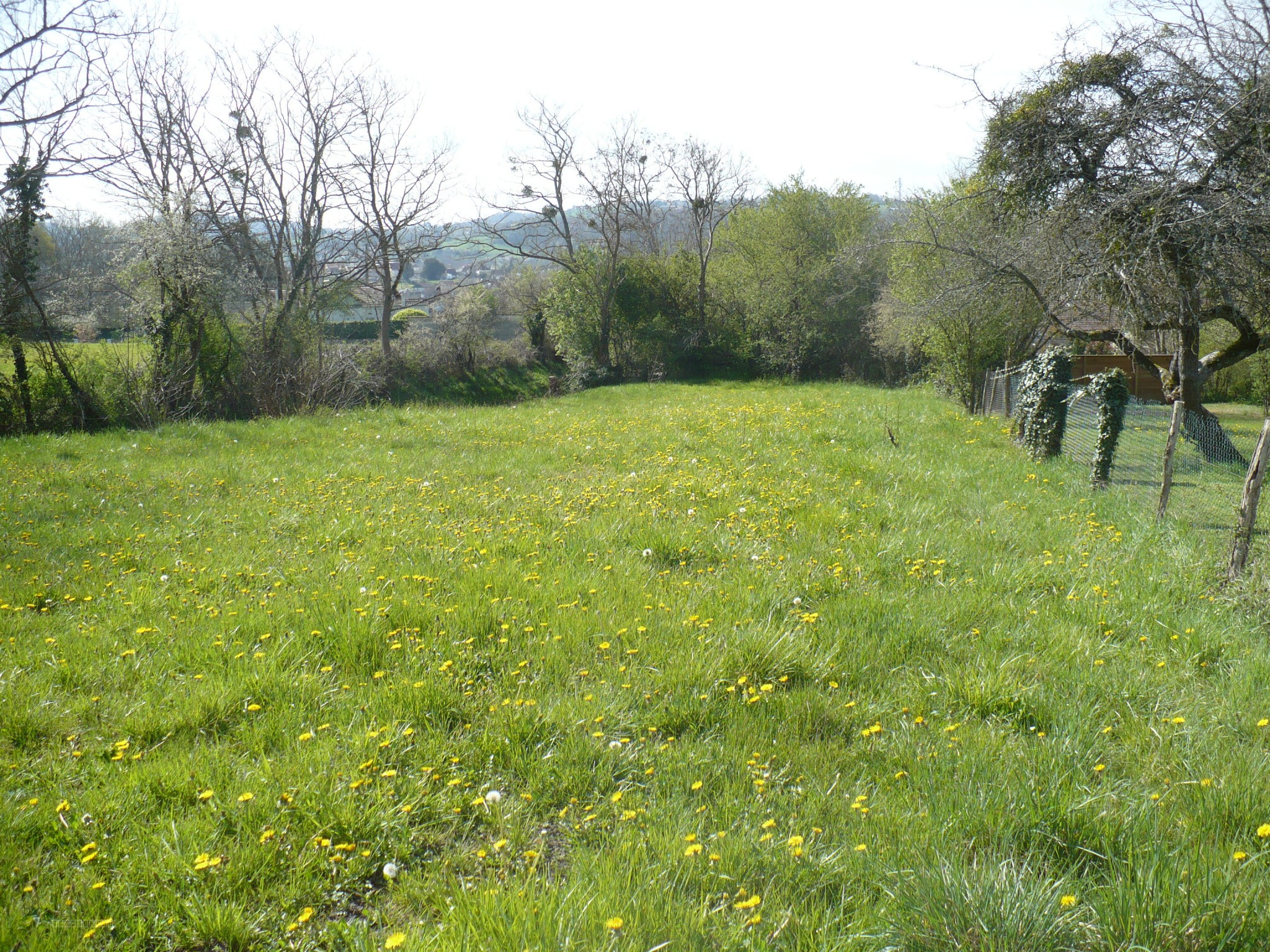 Terrain sur hauteurs de Cusset — photo 4