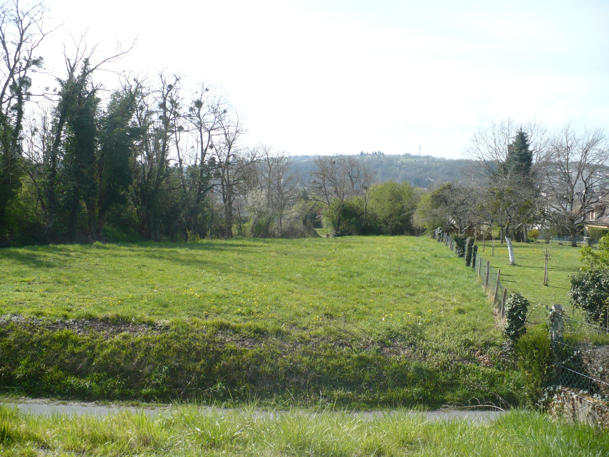 Terrain sur hauteurs de Cusset — photo 2