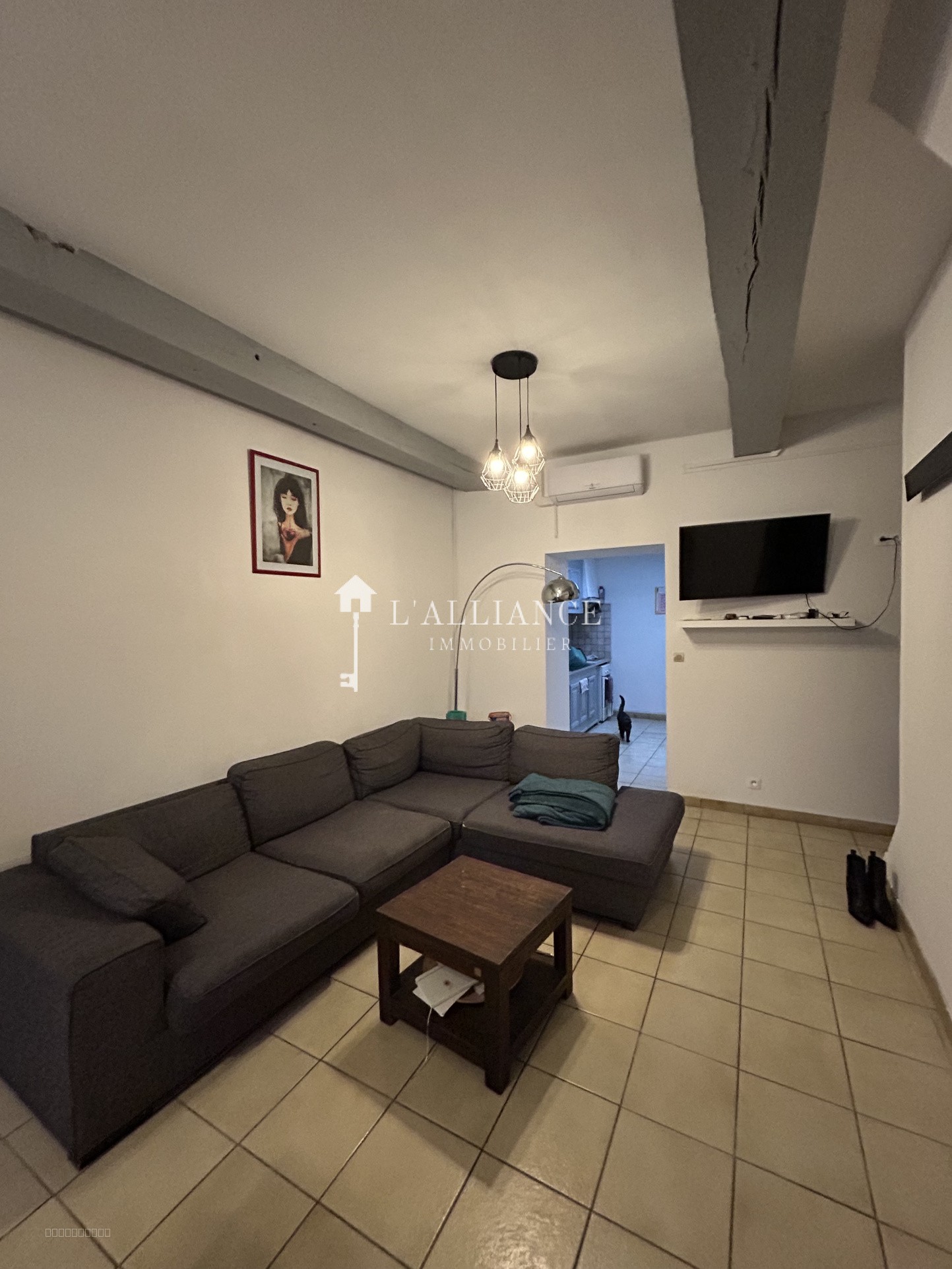 maison Lesquin — photo 4