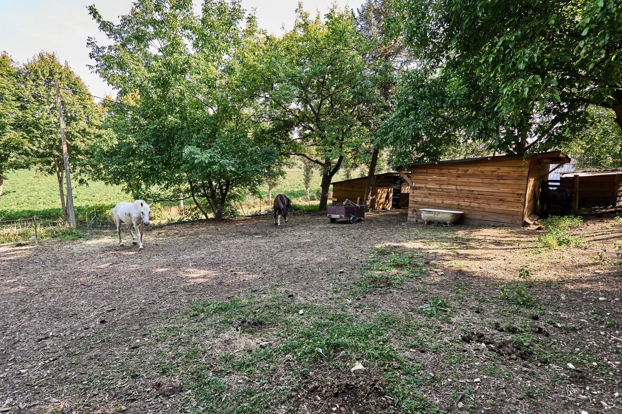 Maison 7 pièces de 225 m2 Confort de plain-pied. — photo 18