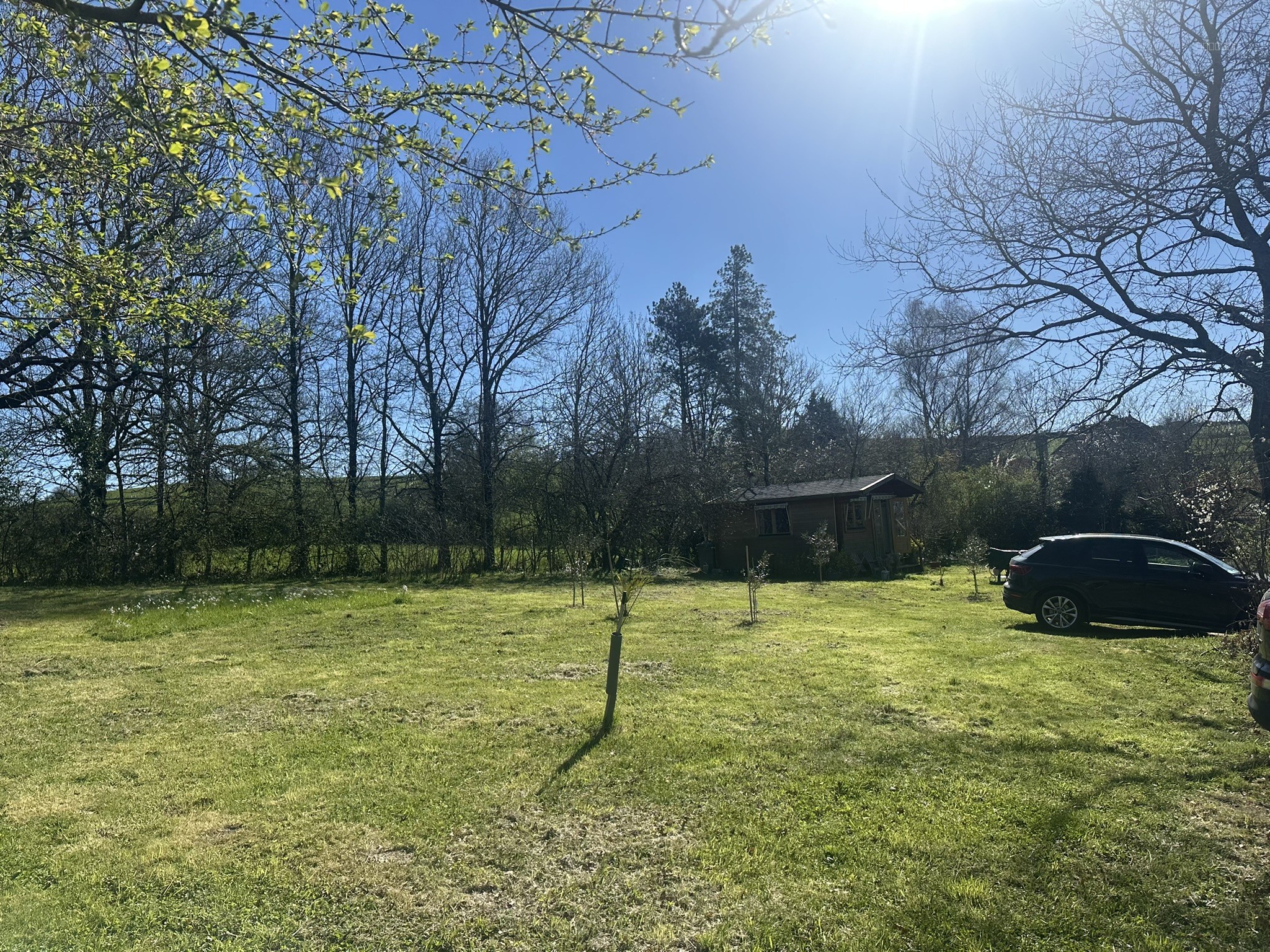 TERRAIN AVEC HANGAR — photo 9
