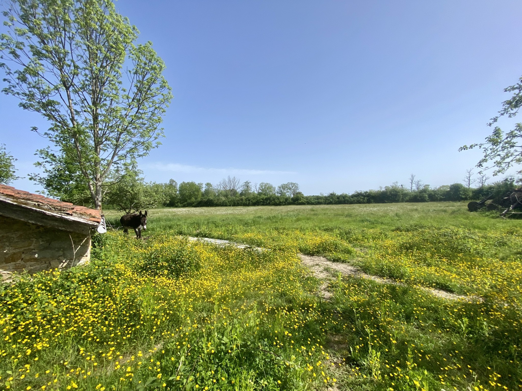 LONGERE INDEPENDANTE - 1,4 hectares - GANNAY/LOIRE 03230 — photo 4