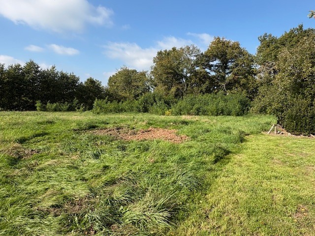 Proche de Decize et de Moulins, très bel ensemble immobilier comprenant trois habitations, garages et annexes, implanté sur un terrain arboré de 6 589 m2. — photo 12
