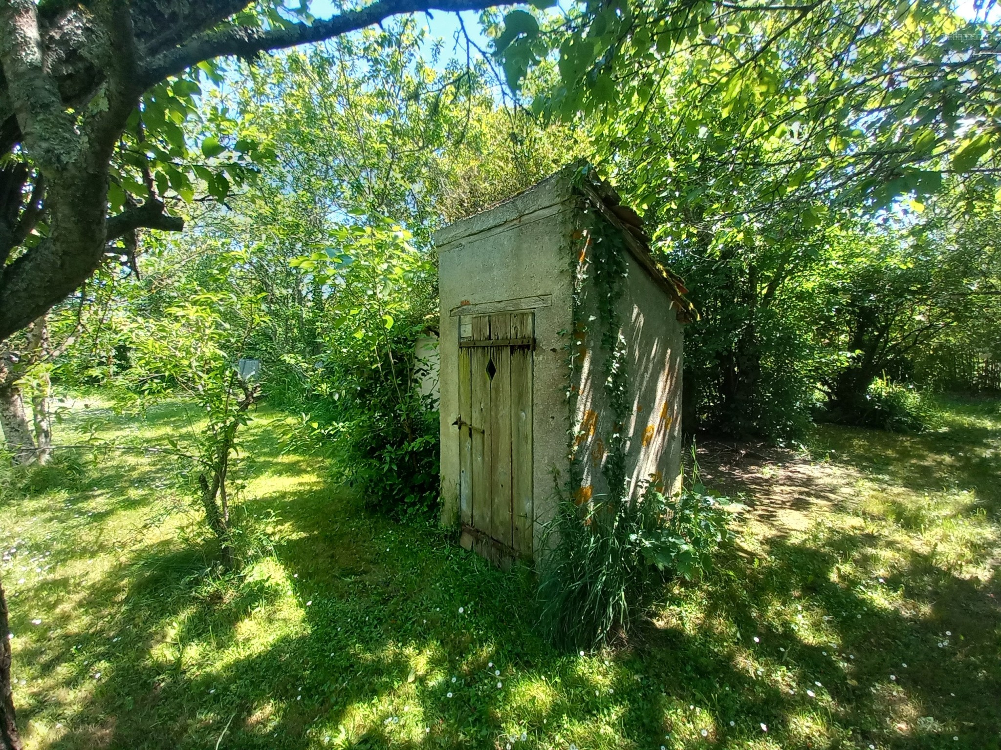 Maison de Village 2 chambres 03230 LA CHAPELLE AUX CHASSES — photo 17