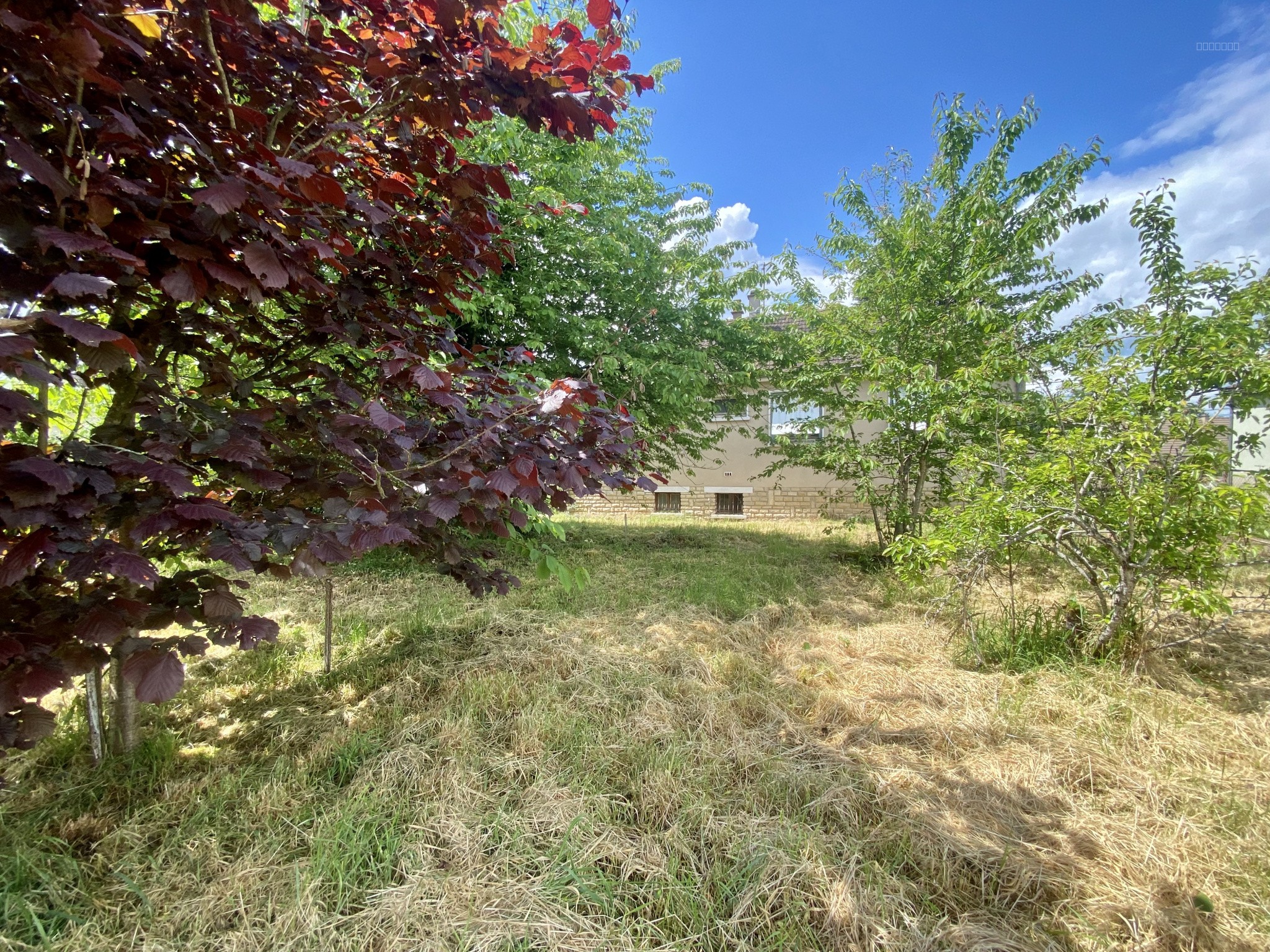 PAVILLON SUR S/SOL - 3 CHAMBRES - CERCY LA TOUR 58250 — photo 15
