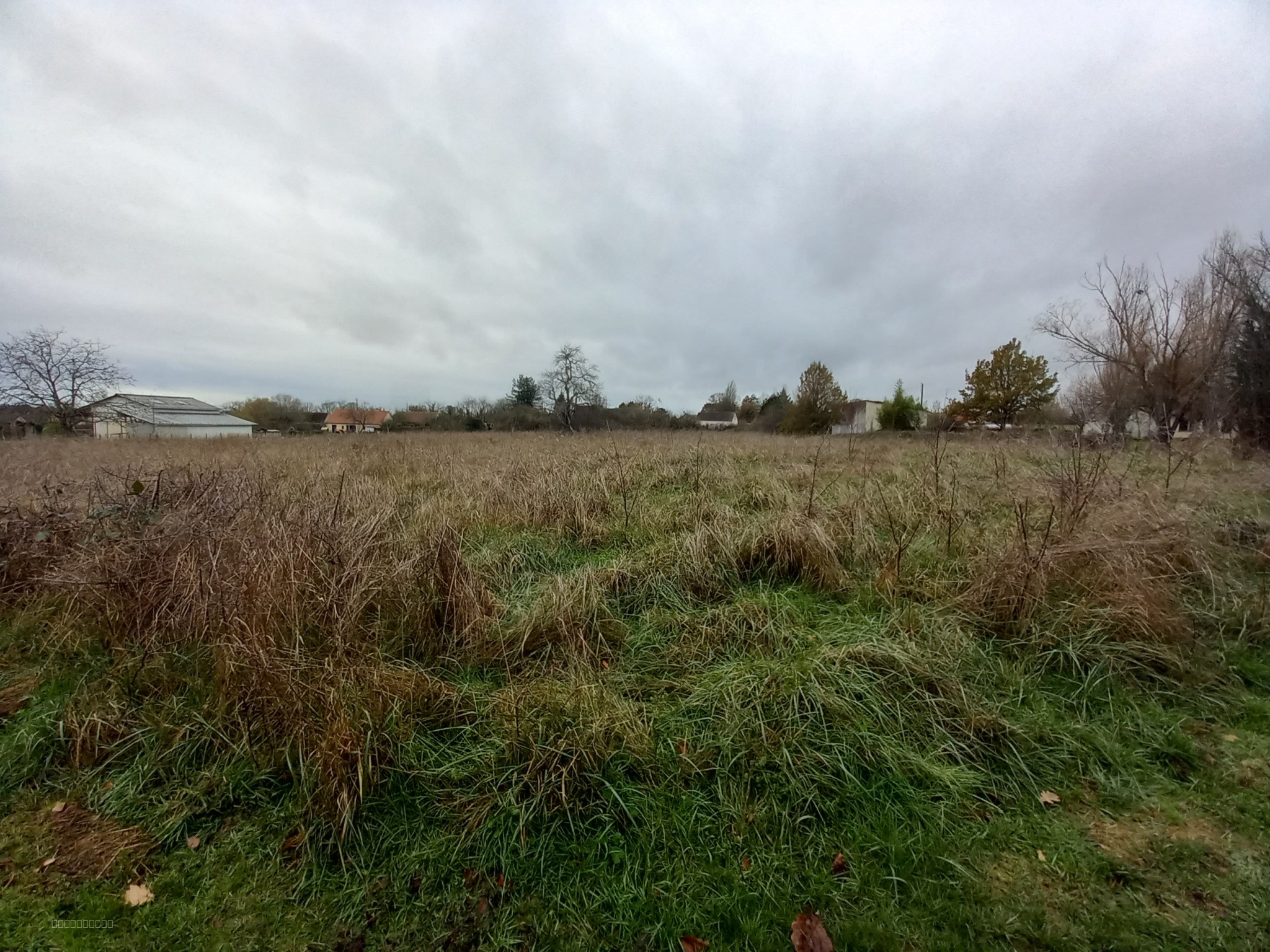 LONGERE A RENOVER 58300 SOUGY SUR LOIRE — photo 16