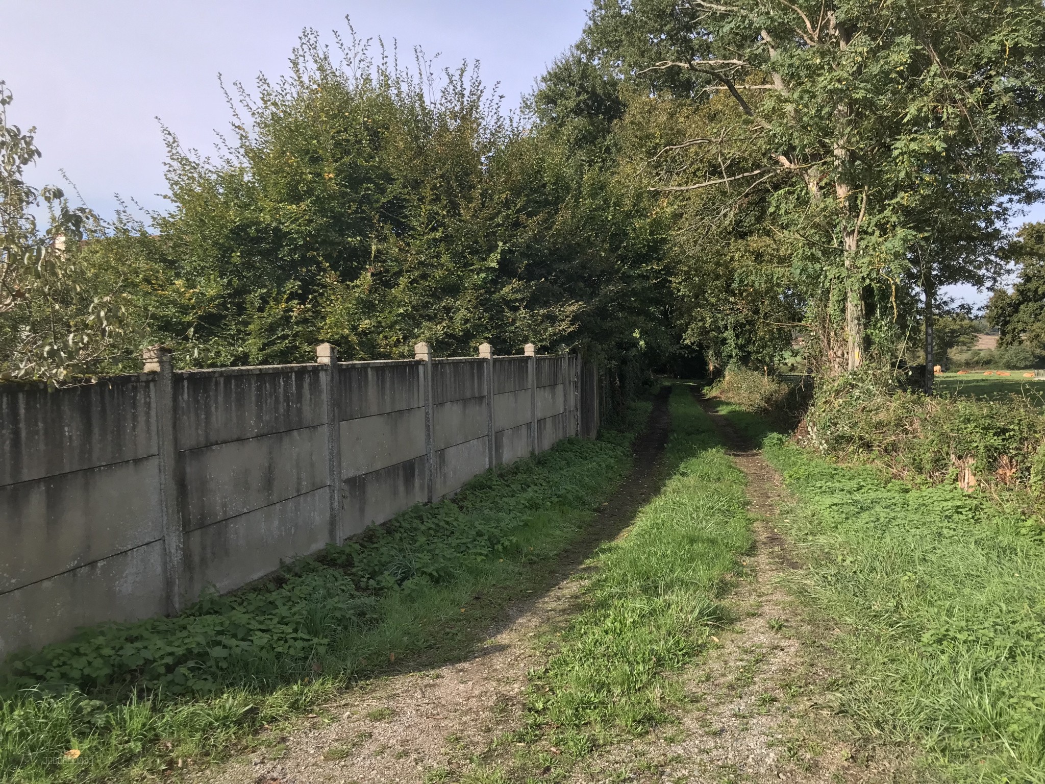 Proche de Decize et de Moulins, très bel ensemble immobilier comprenant trois habitations, garages et annexes, implanté sur un terrain arboré de 6 589 m2. — photo 20