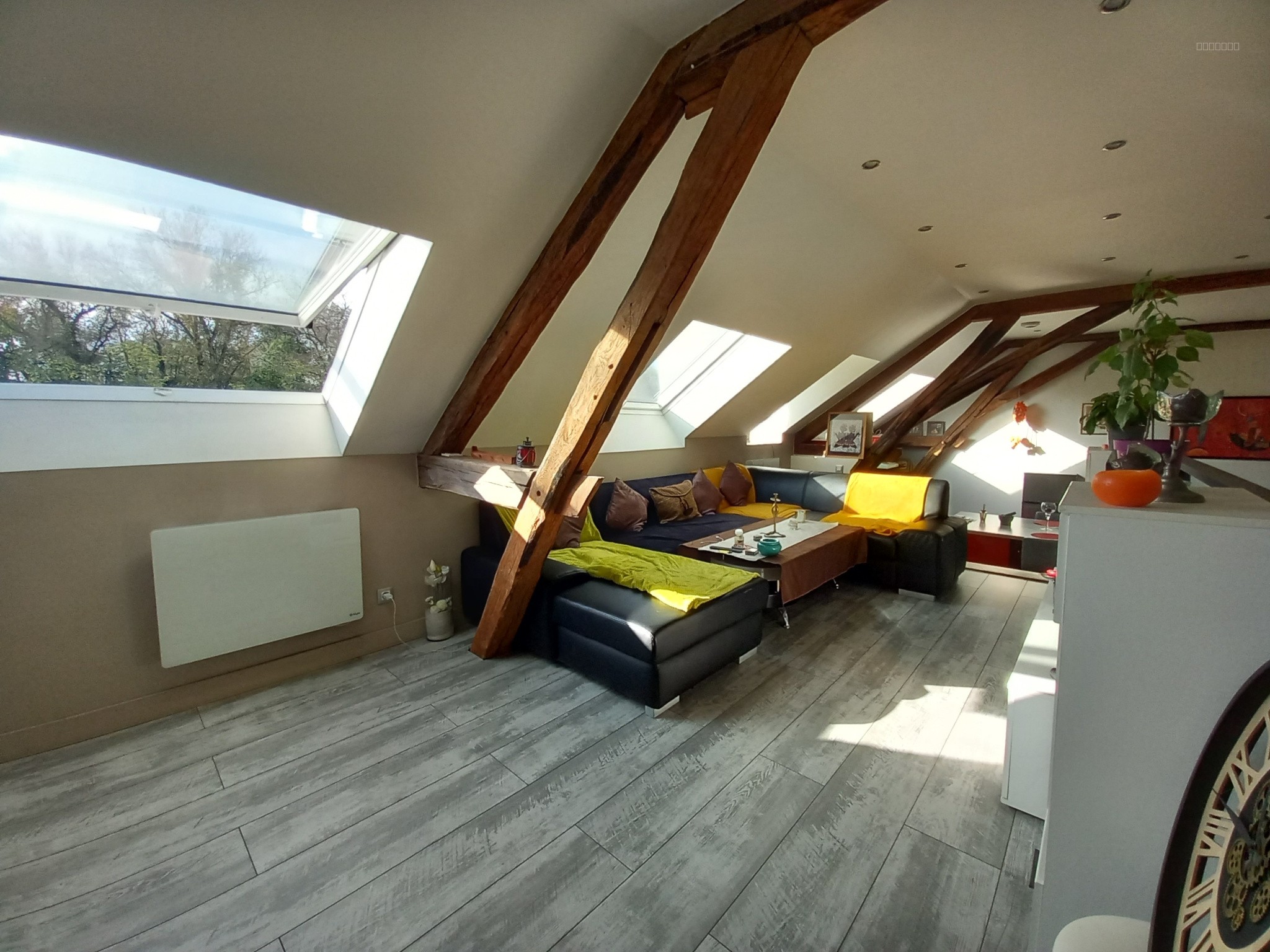 local commercial et appartement habitable de suite  avec dépendances SAINT LEGER DES VIGNES 58300 — photo 11
