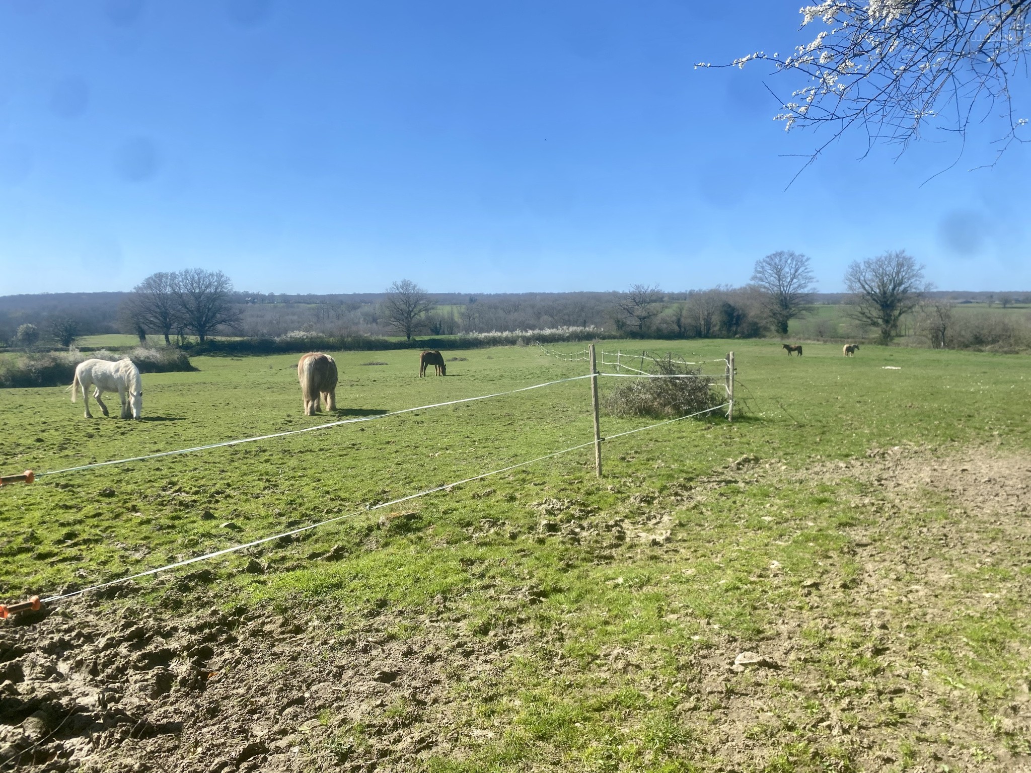 Maison au calme au sud du Morvan   3,8 hectares, piscine et ancien corps de ferme — photo 9
