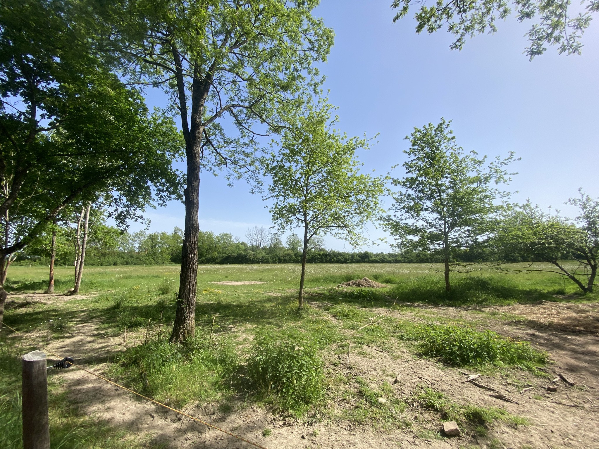 LONGERE INDEPENDANTE - 1,4 hectares - GANNAY/LOIRE 03230 — photo 5