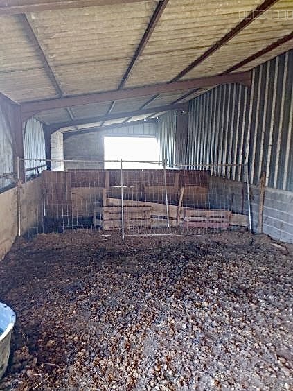 Maison au calme au sud du Morvan   3,8 hectares, piscine et ancien corps de ferme — photo 5