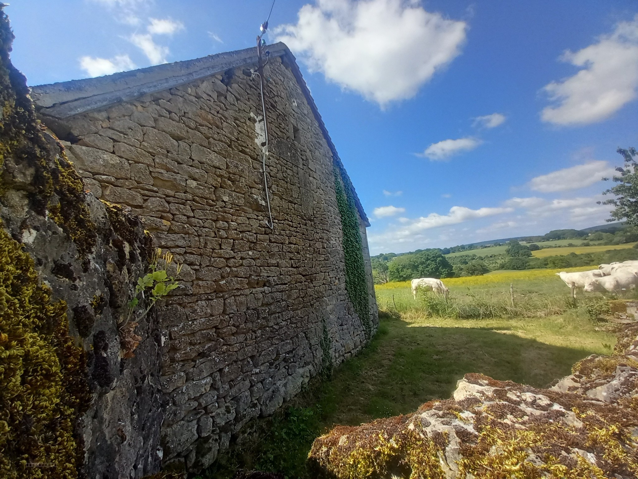 Maison familiale indépendante près du collège de Cercy-la-Tour — photo 10