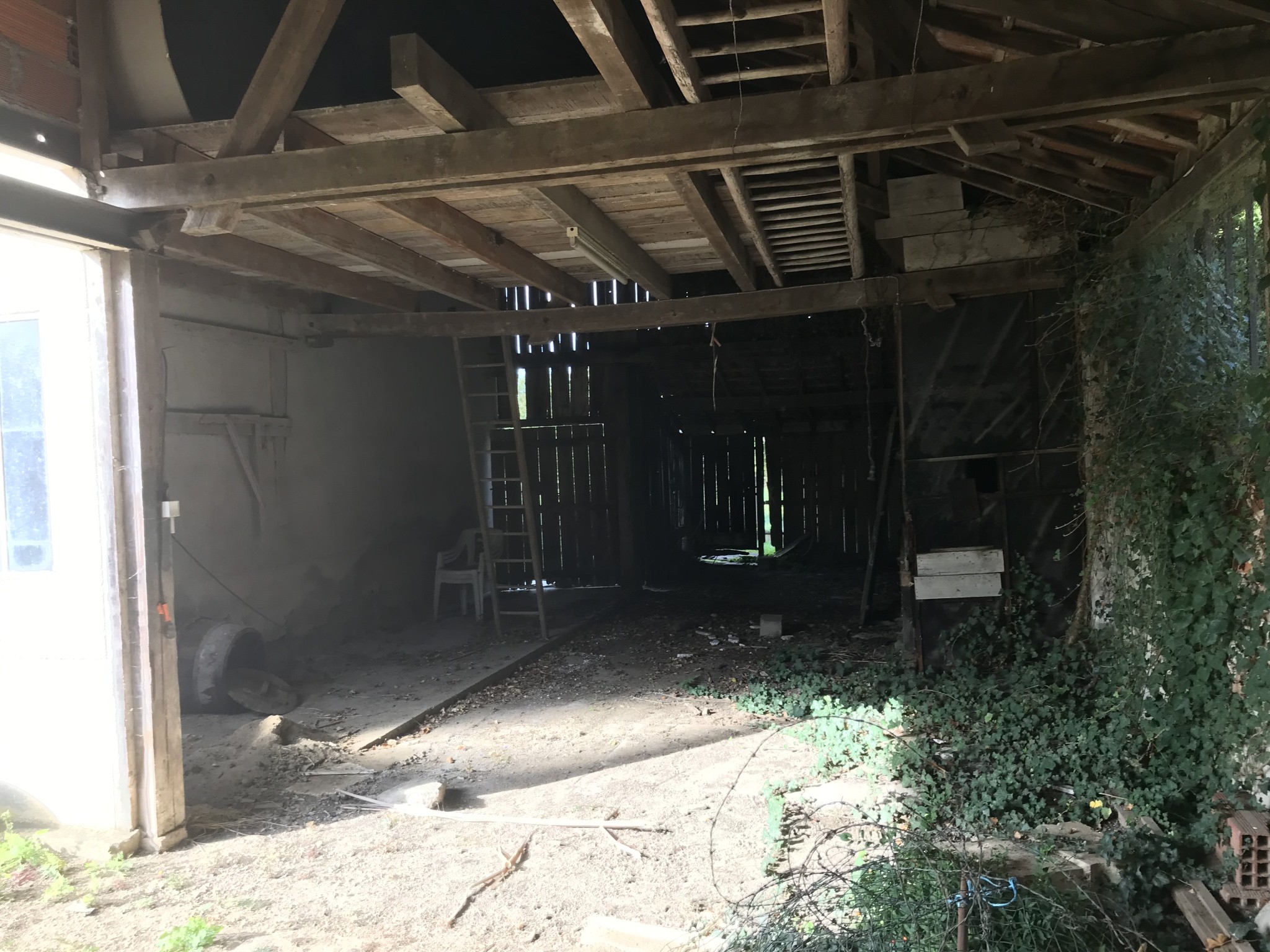 Proche de Decize et de Moulins, très bel ensemble immobilier comprenant trois habitations, garages et annexes, implanté sur un terrain arboré de 6 589 m2. — photo 10