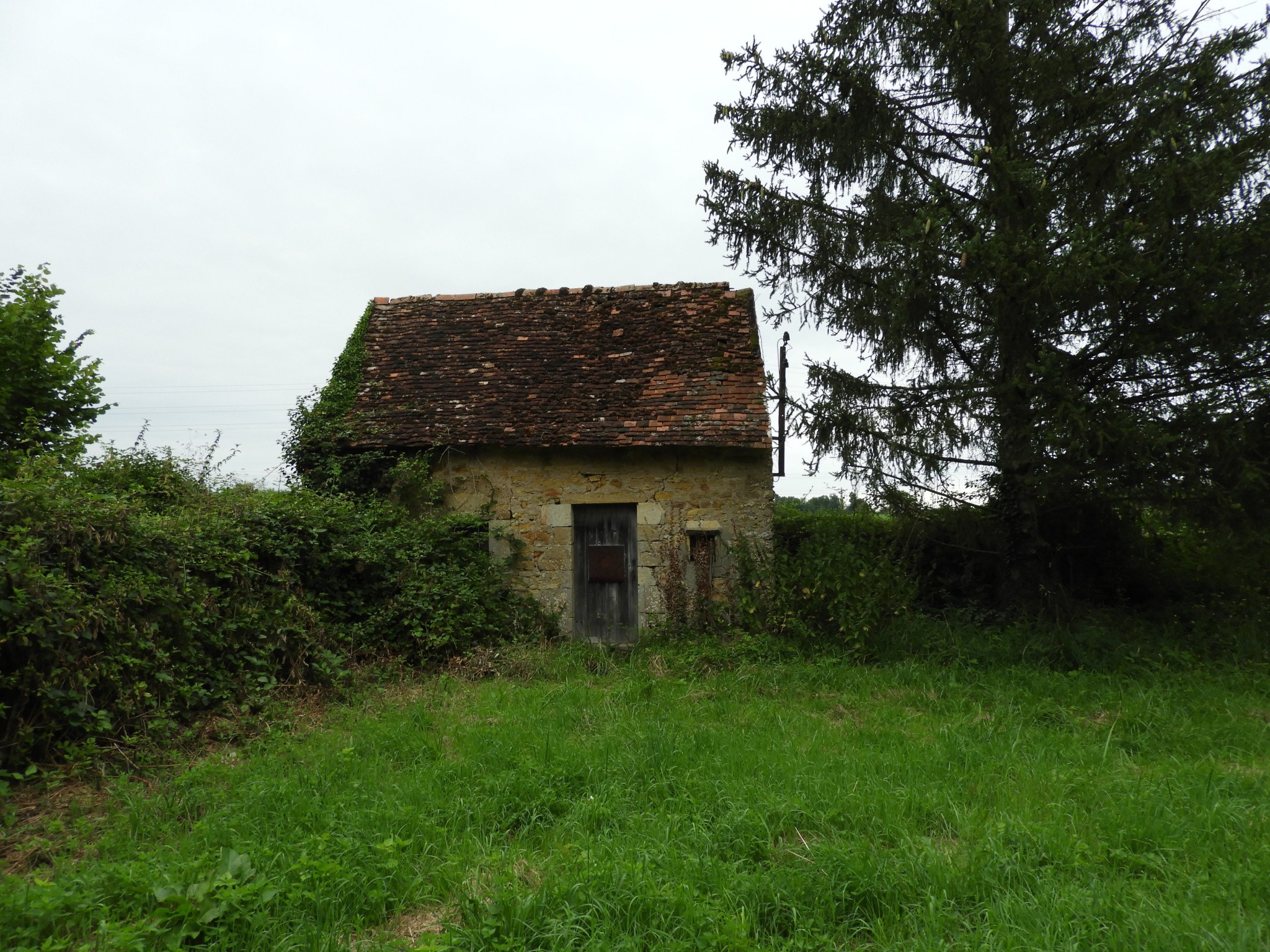 Région Bourgogne Propriété agricole — photo 14