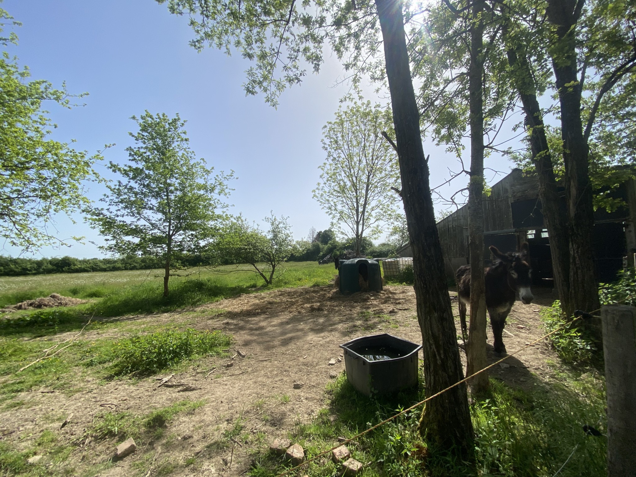 LONGERE INDEPENDANTE - 1,4 hectares - GANNAY/LOIRE 03230 — photo 6